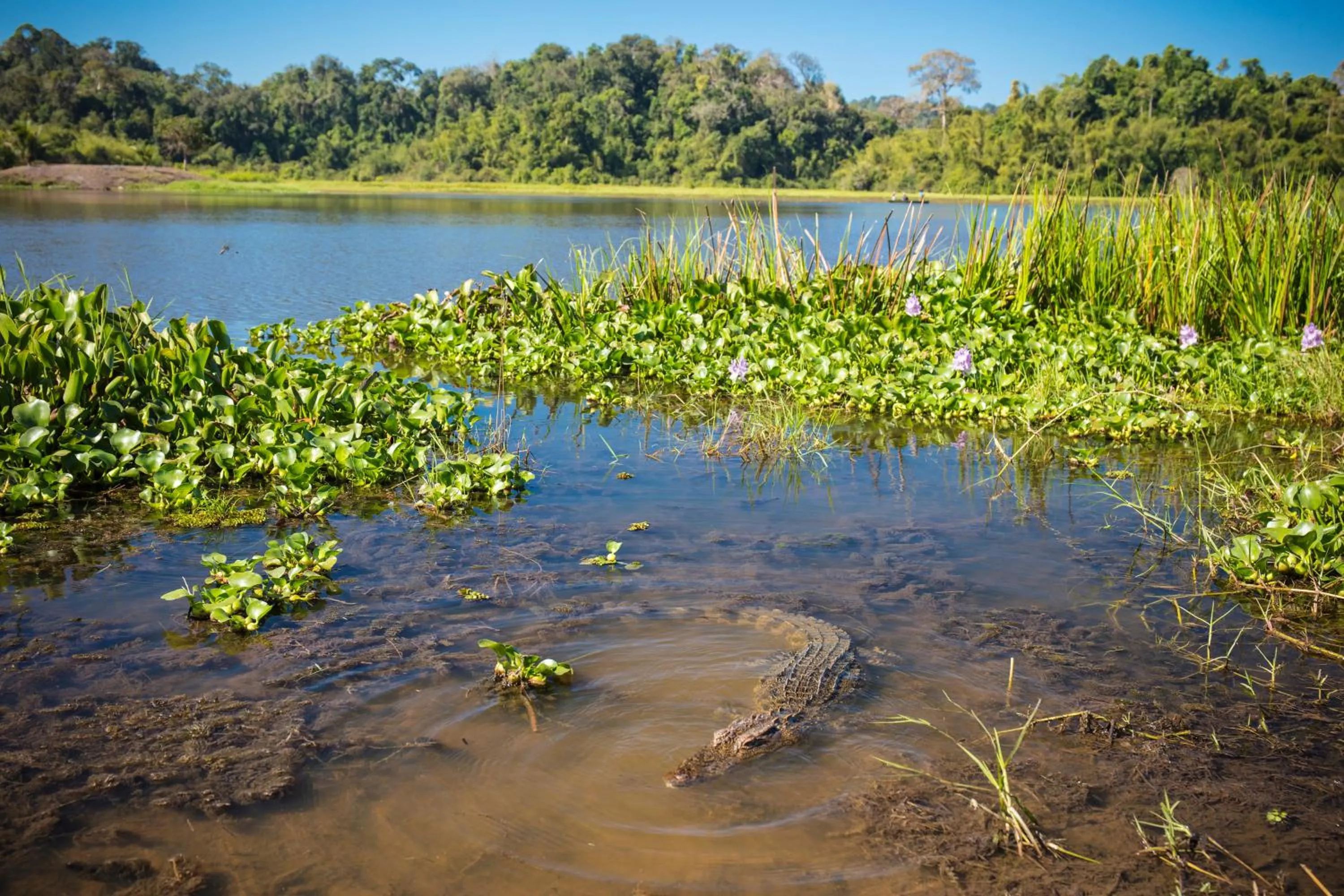 Natural landscape in Cat Tien Jungle Lodge