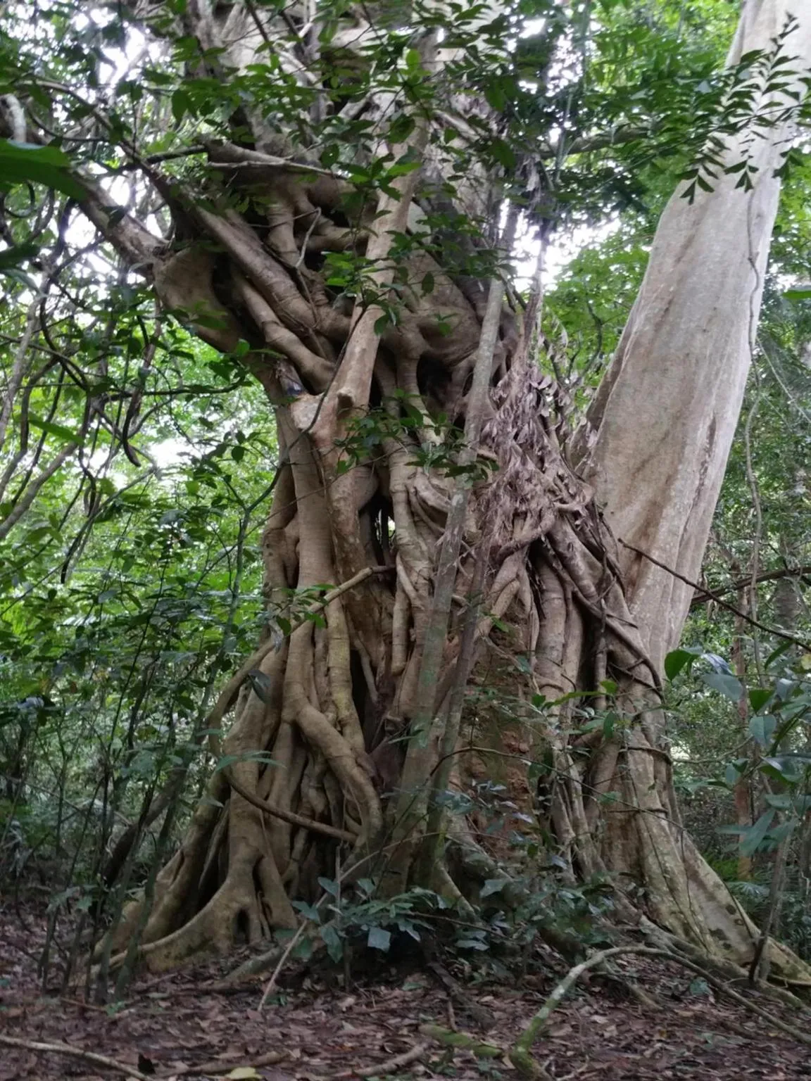 Off site in Cat Tien Jungle Lodge