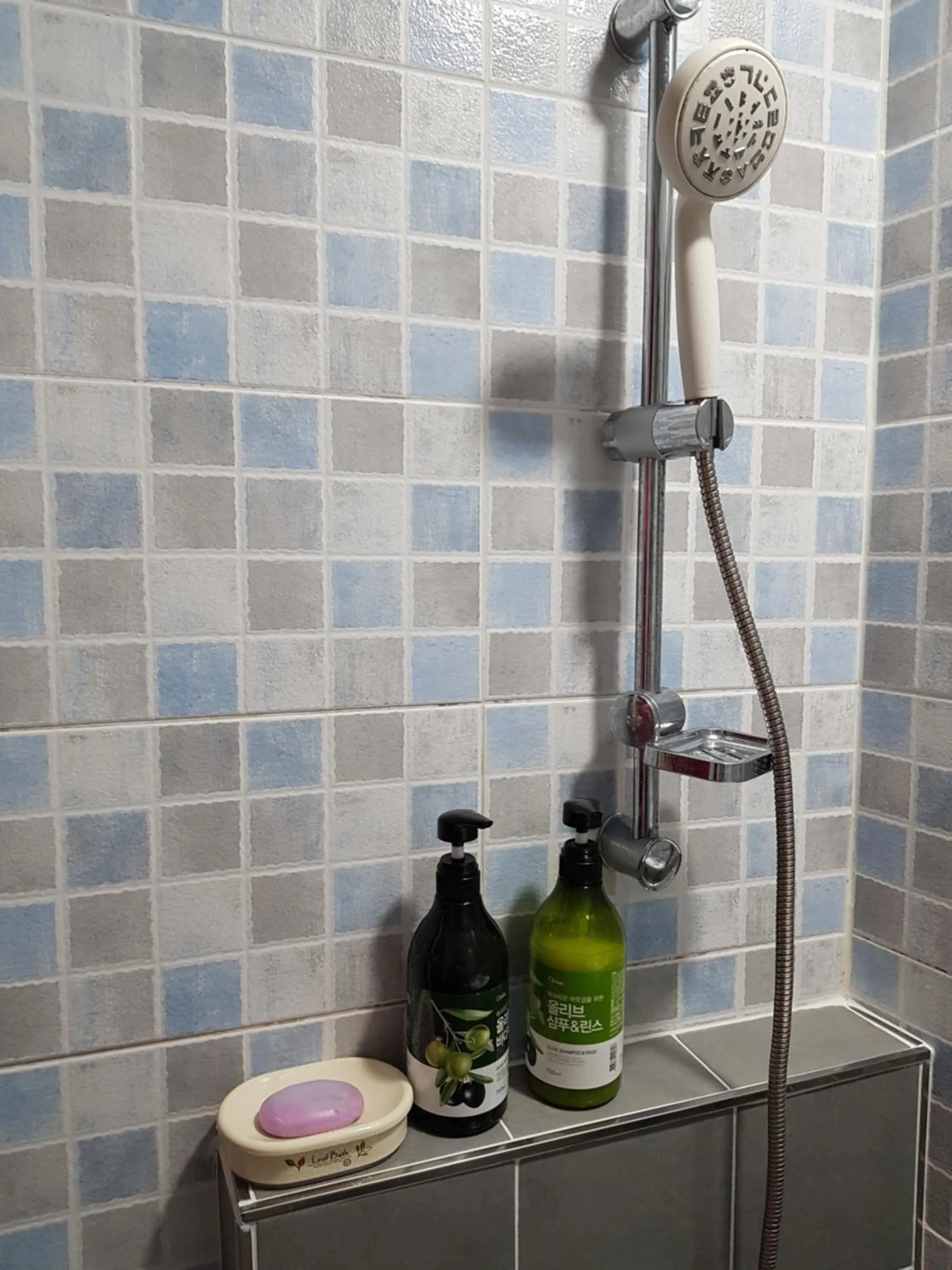 Shower in Jeju Vision House