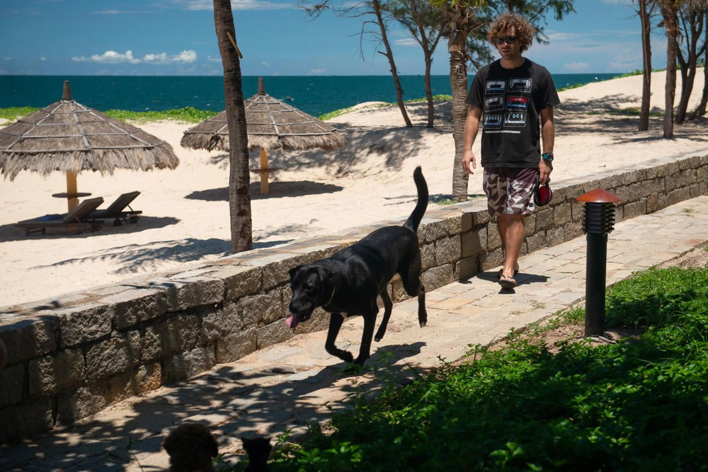 Beach in White Sand Resort Mui Ne