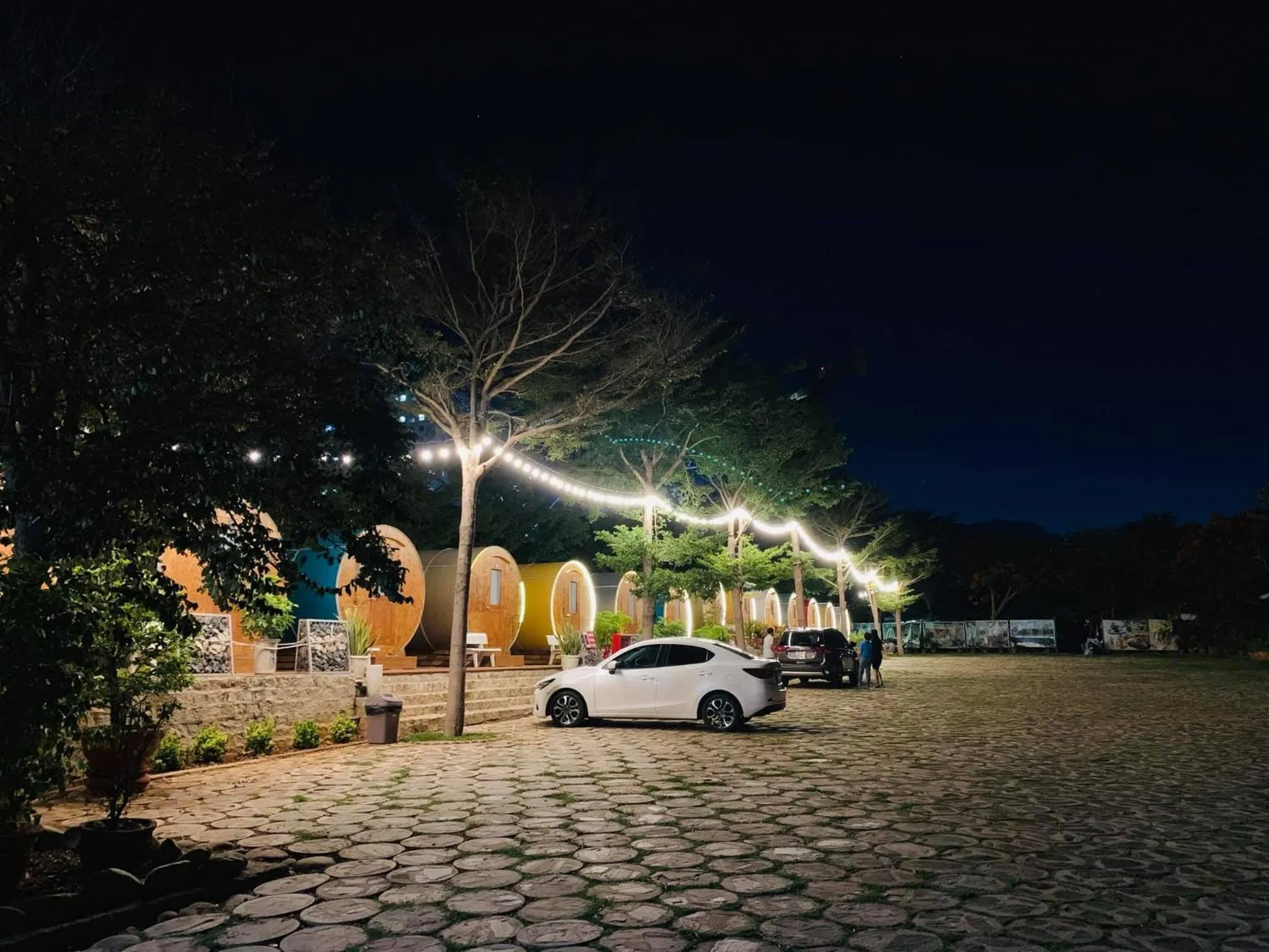 Night in New Wave Vung Tau Hotel