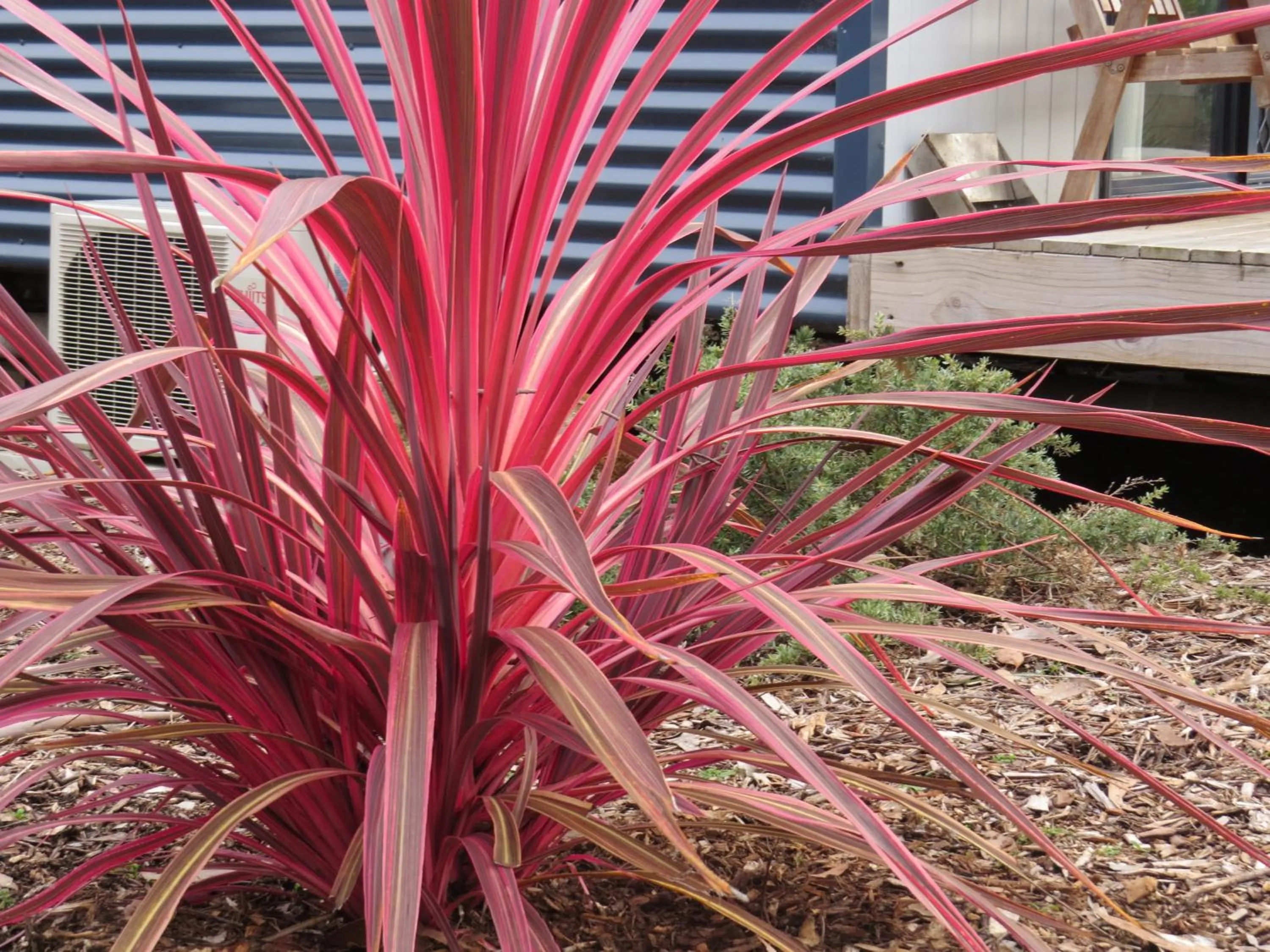 Day in Captain Cook Holiday Park