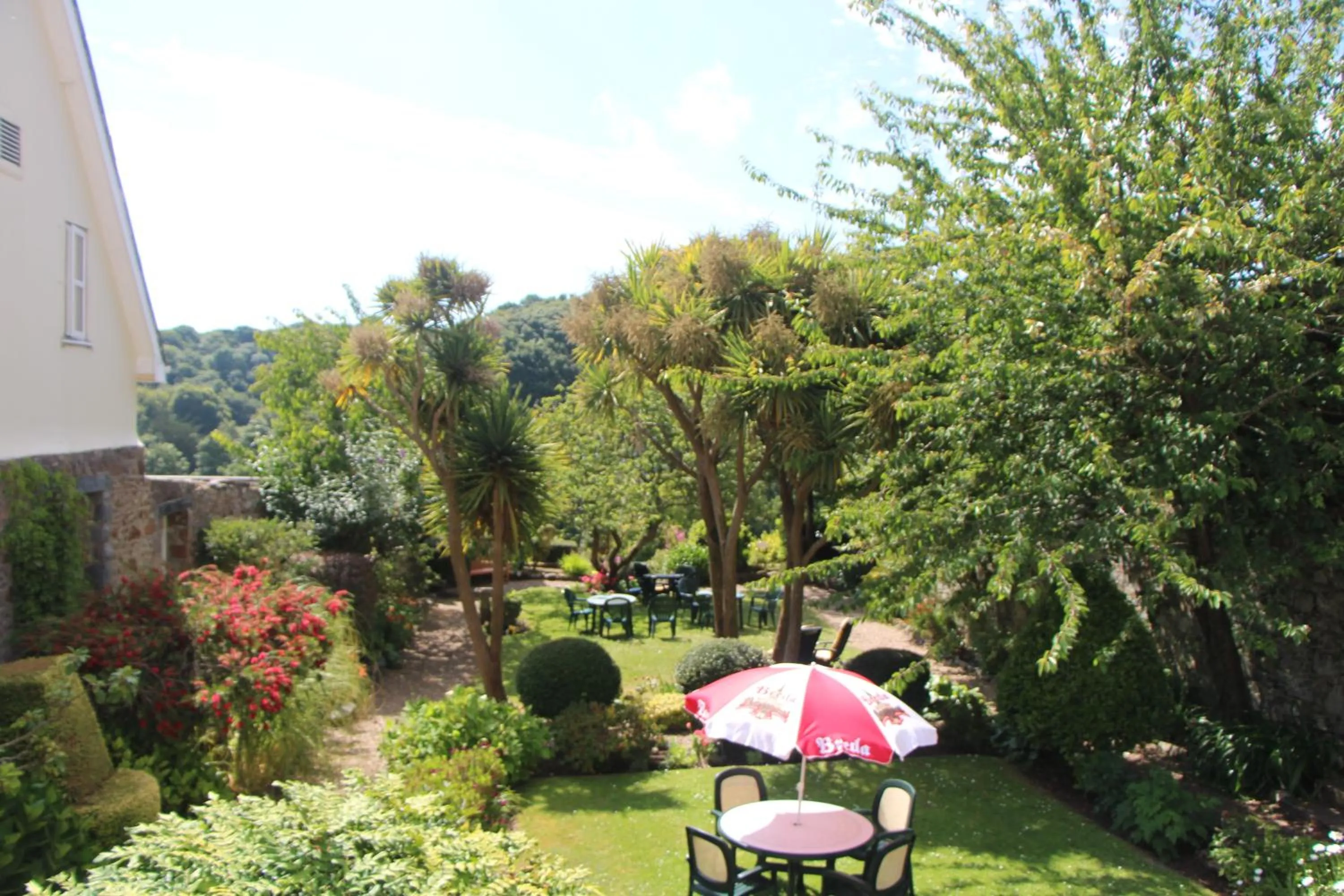 Garden in Pandora Hotel