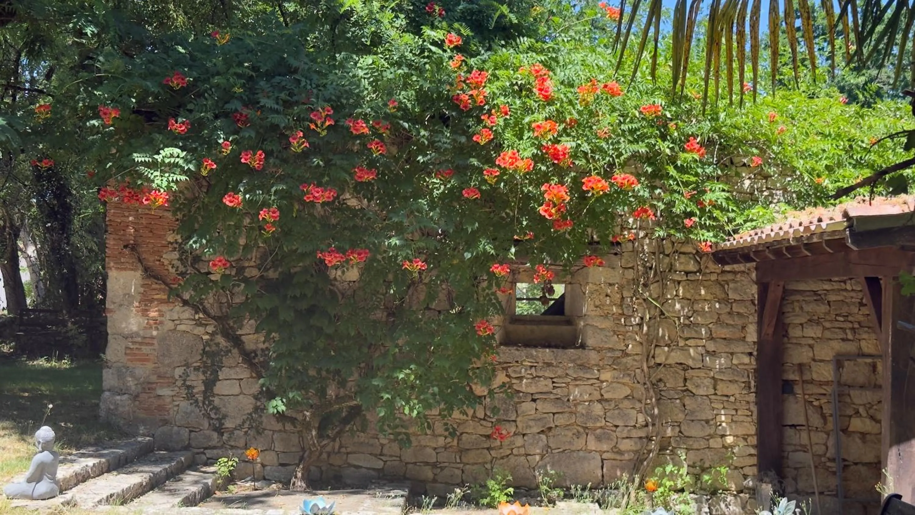 Garden in Les Hauts de Sauliès - Chambre et Table d'Hôtes de charme