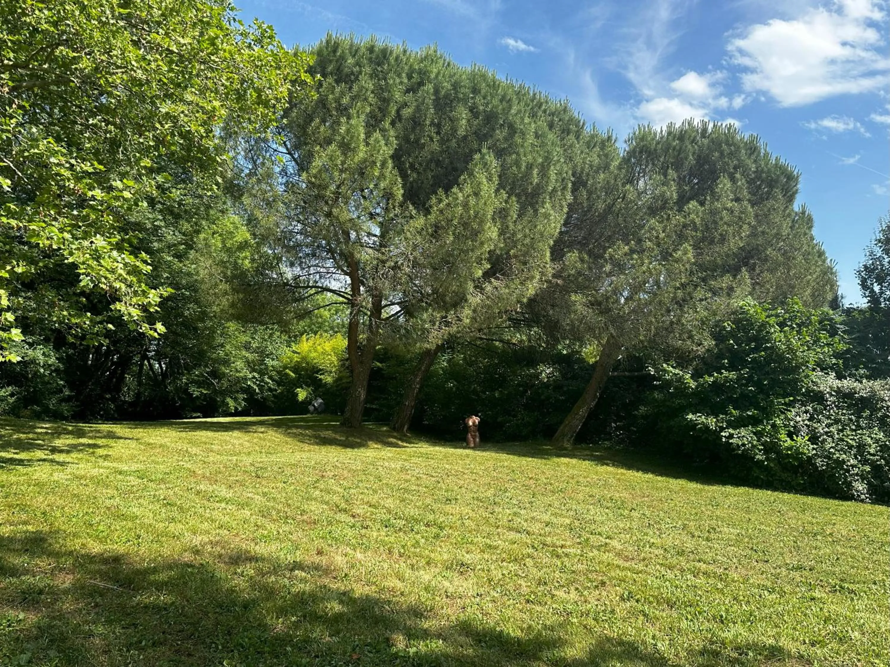 Garden in Les Hauts de Sauliès - Chambre et Table d'Hôtes de charme