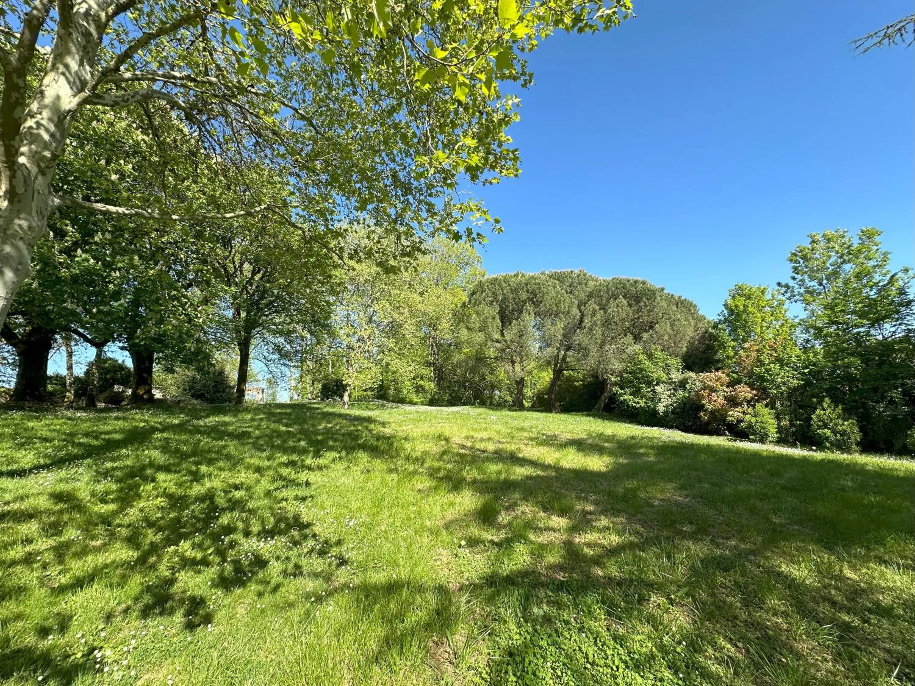 Garden in Les Hauts de Sauliès - Chambre et Table d'Hôtes de charme