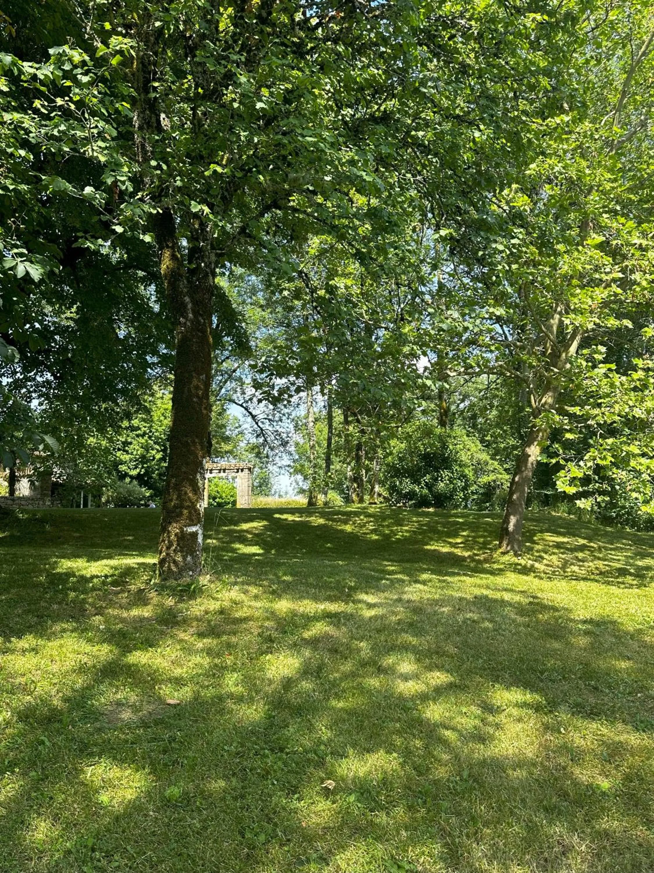 Garden in Les Hauts de Sauliès - Chambre et Table d'Hôtes de charme