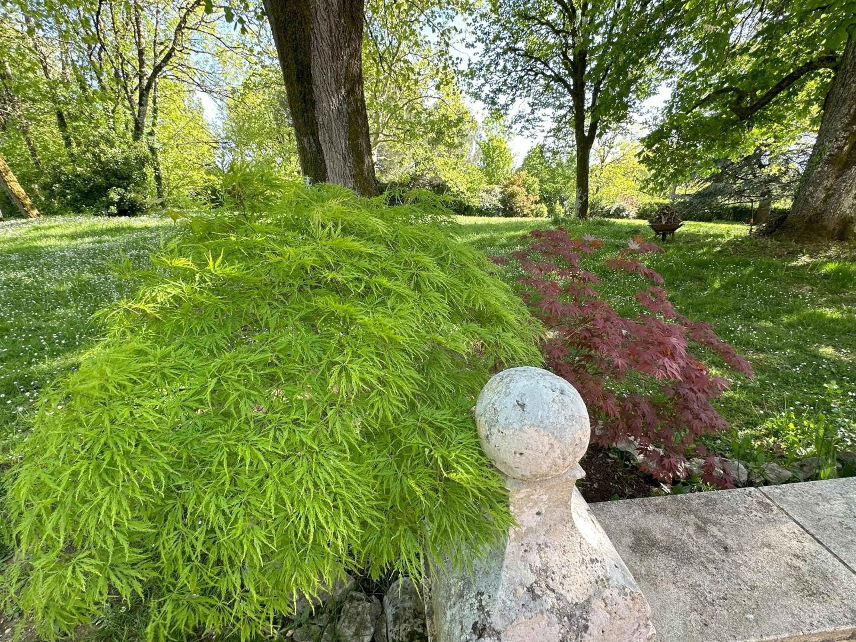 Garden in Les Hauts de Sauliès - Chambre et Table d'Hôtes de charme