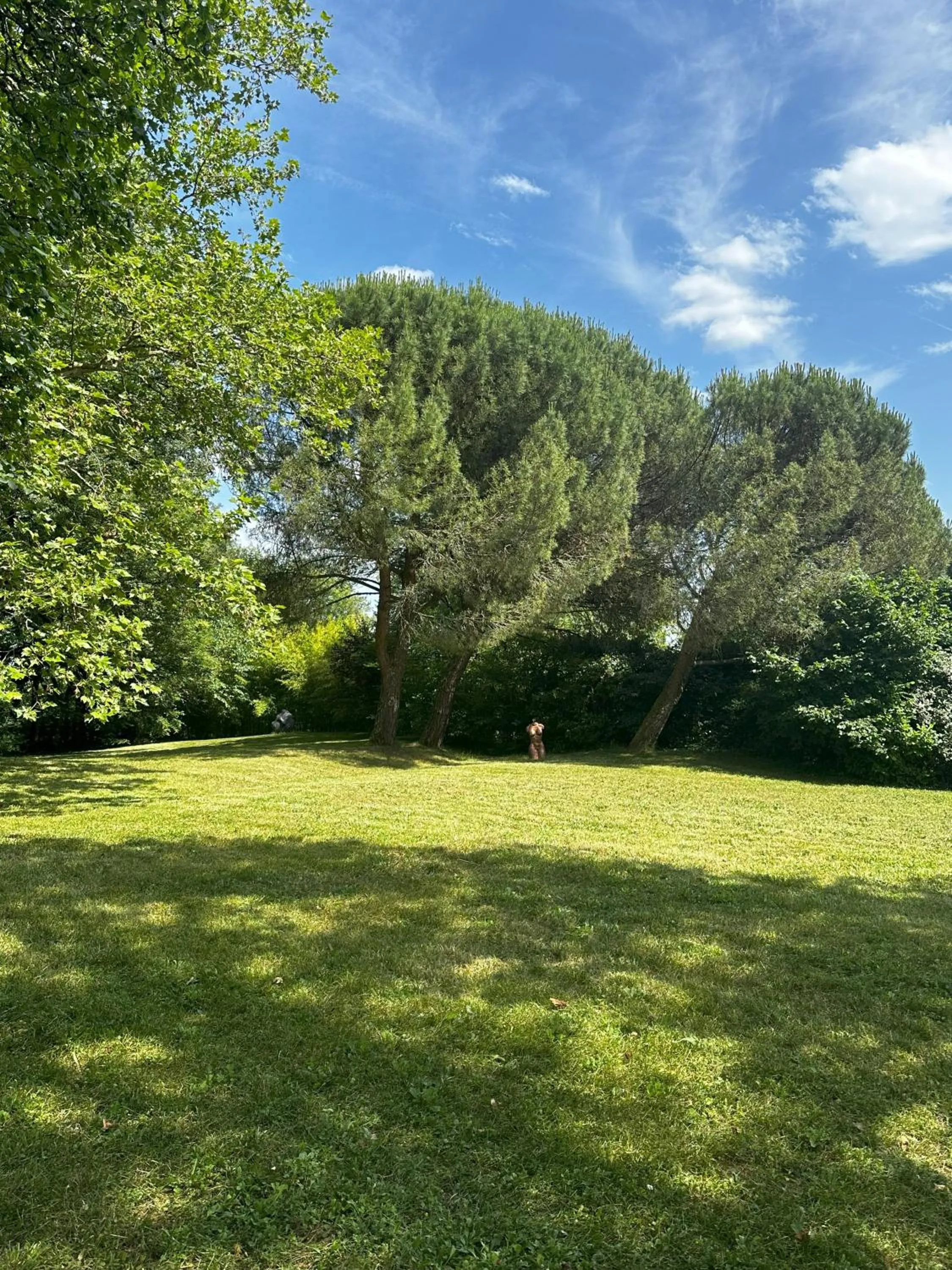 Garden in Les Hauts de Sauliès - Chambre et Table d'Hôtes de charme
