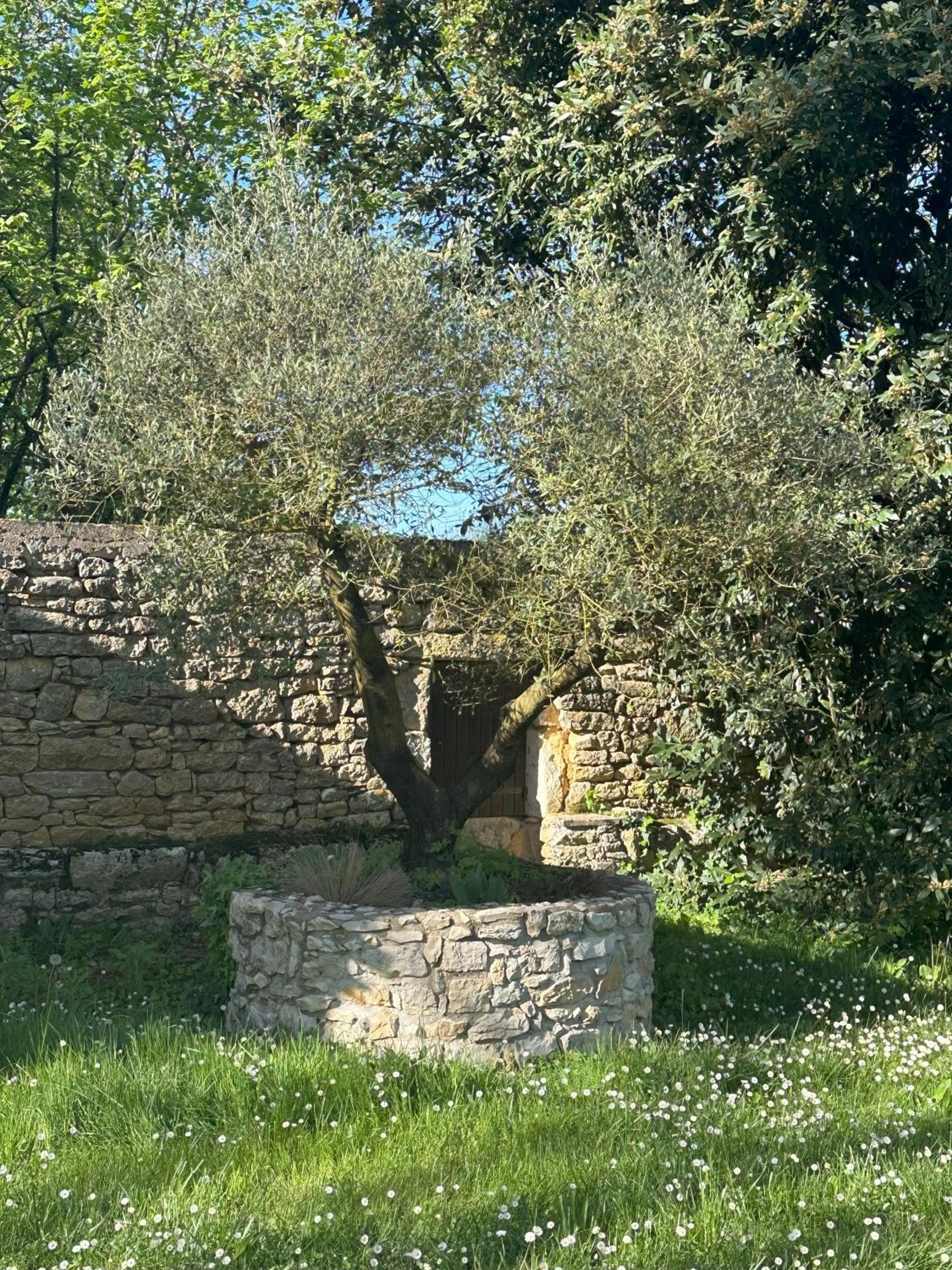 Garden in Les Hauts de Sauliès - Chambre et Table d'Hôtes de charme