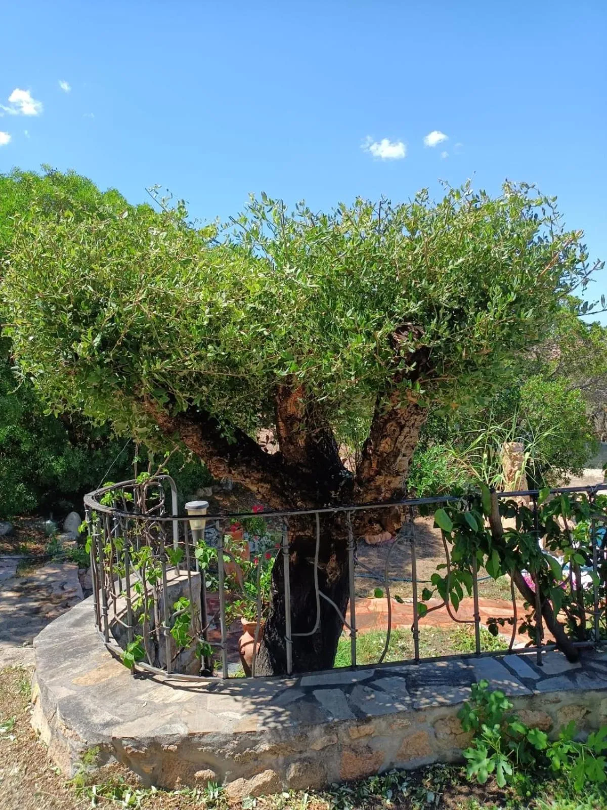 I Mari Di Gallura Suites and Rooms