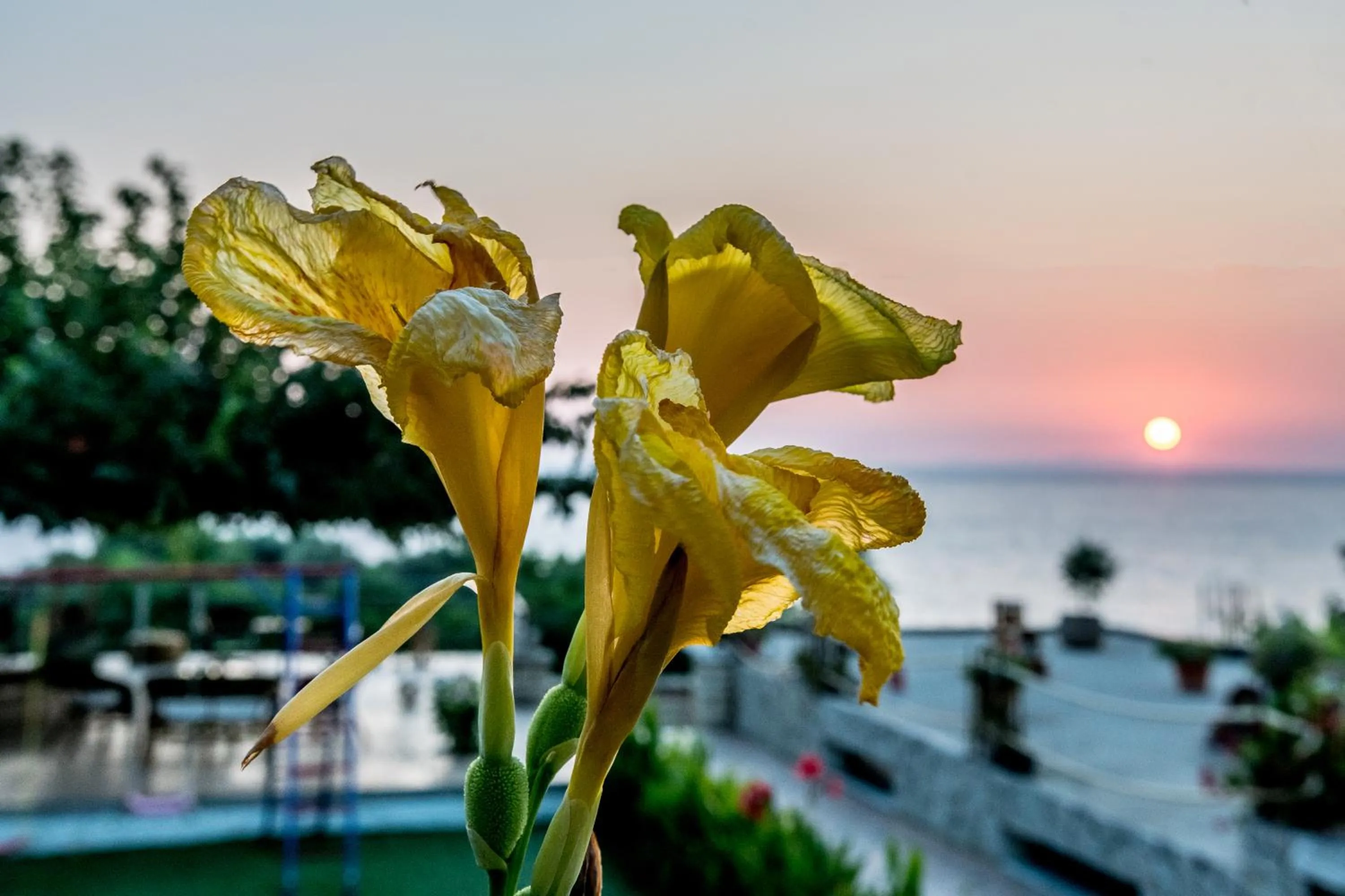 Natural landscape in Hotel Agios Thomas