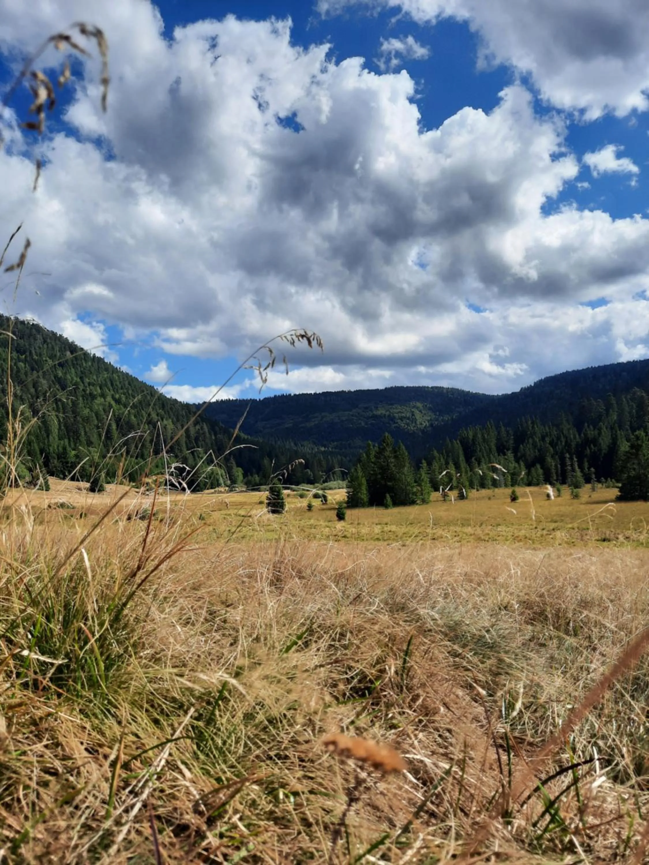 Natural landscape in Au Cœur des Lacs - Chambres d'hôtes