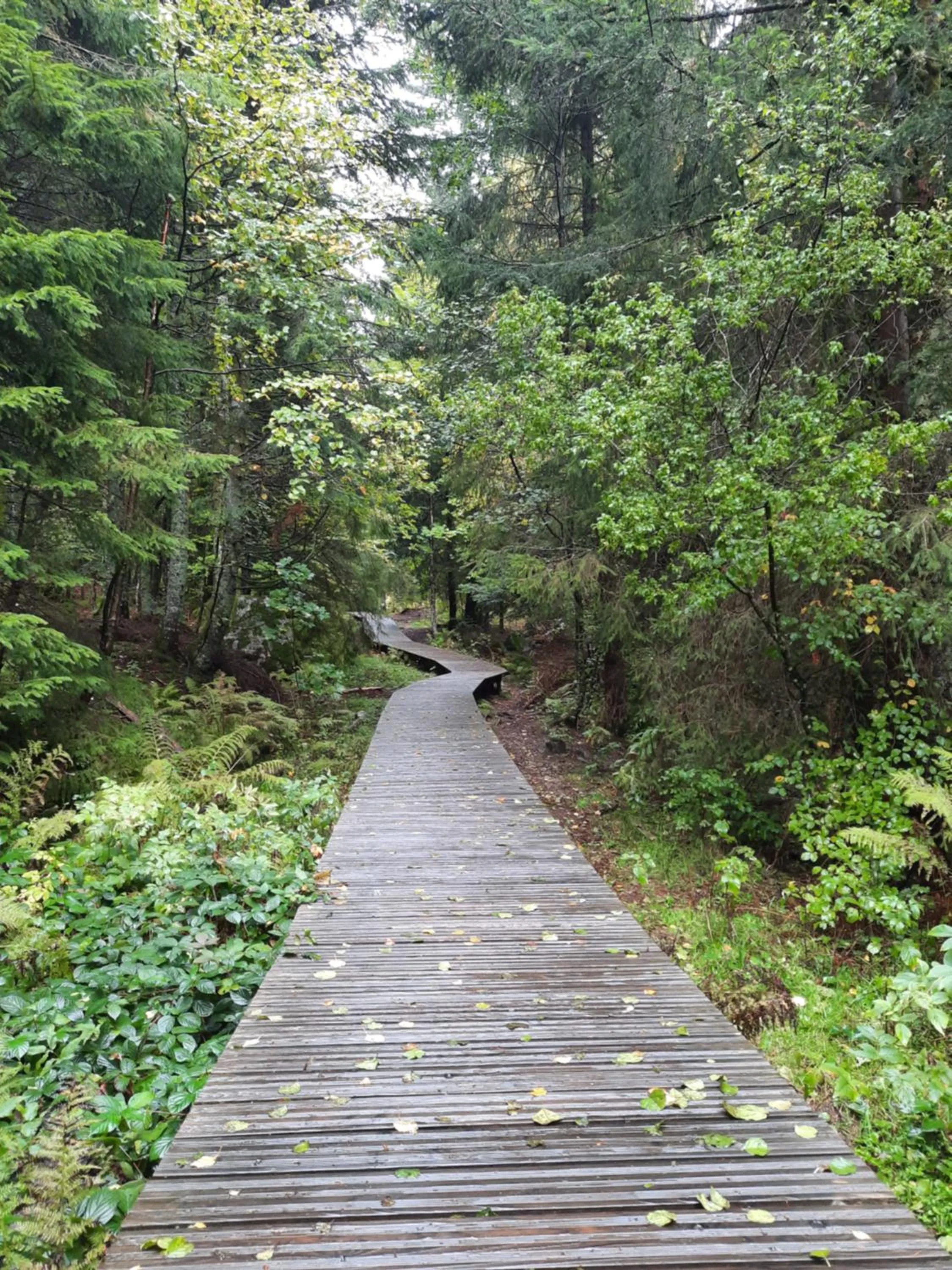 Natural landscape in Au Cœur des Lacs - Chambres d'hôtes