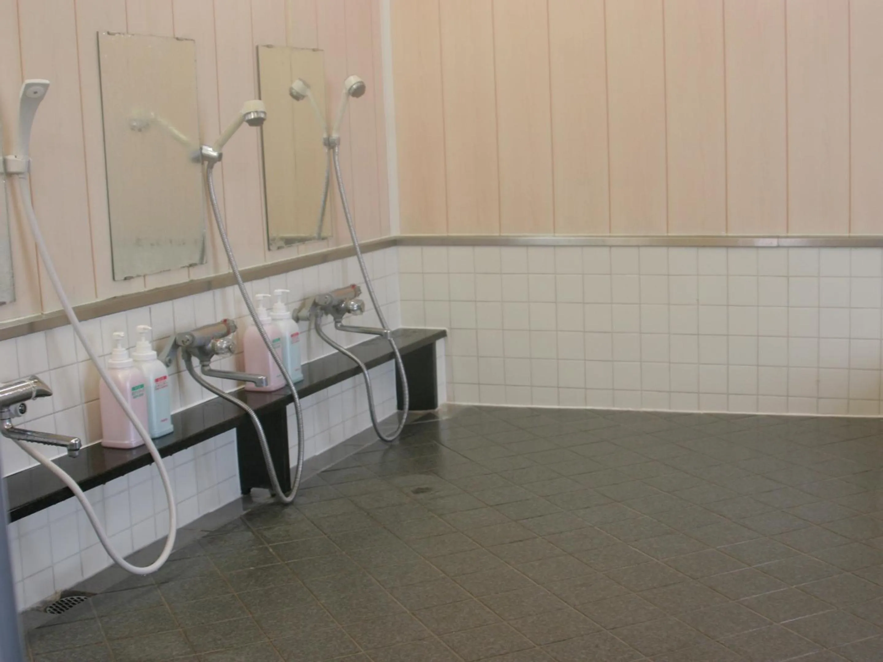 Public Bath in Fureaihouse Shiodu no Sato