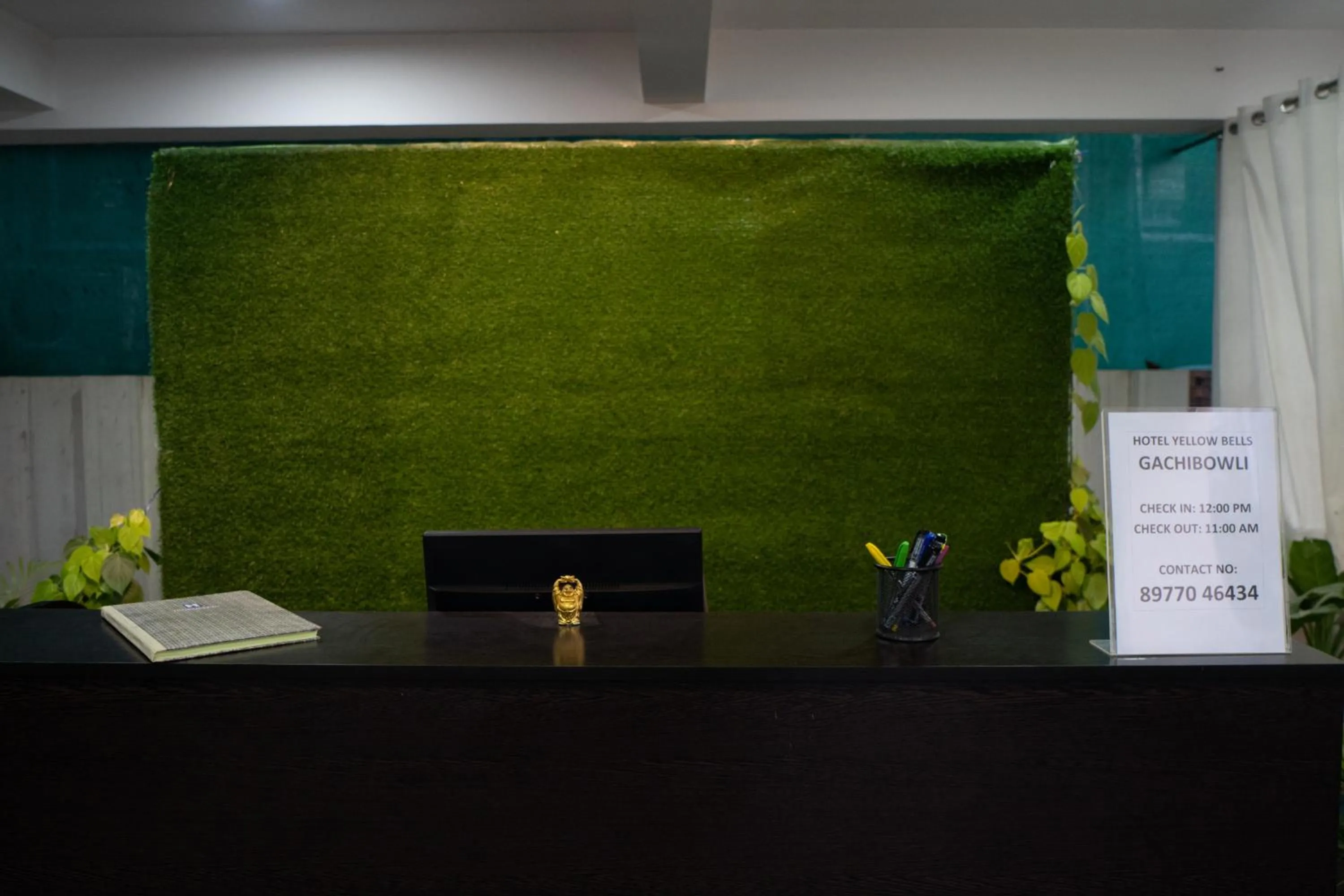 Yellow Bells Gachibowli