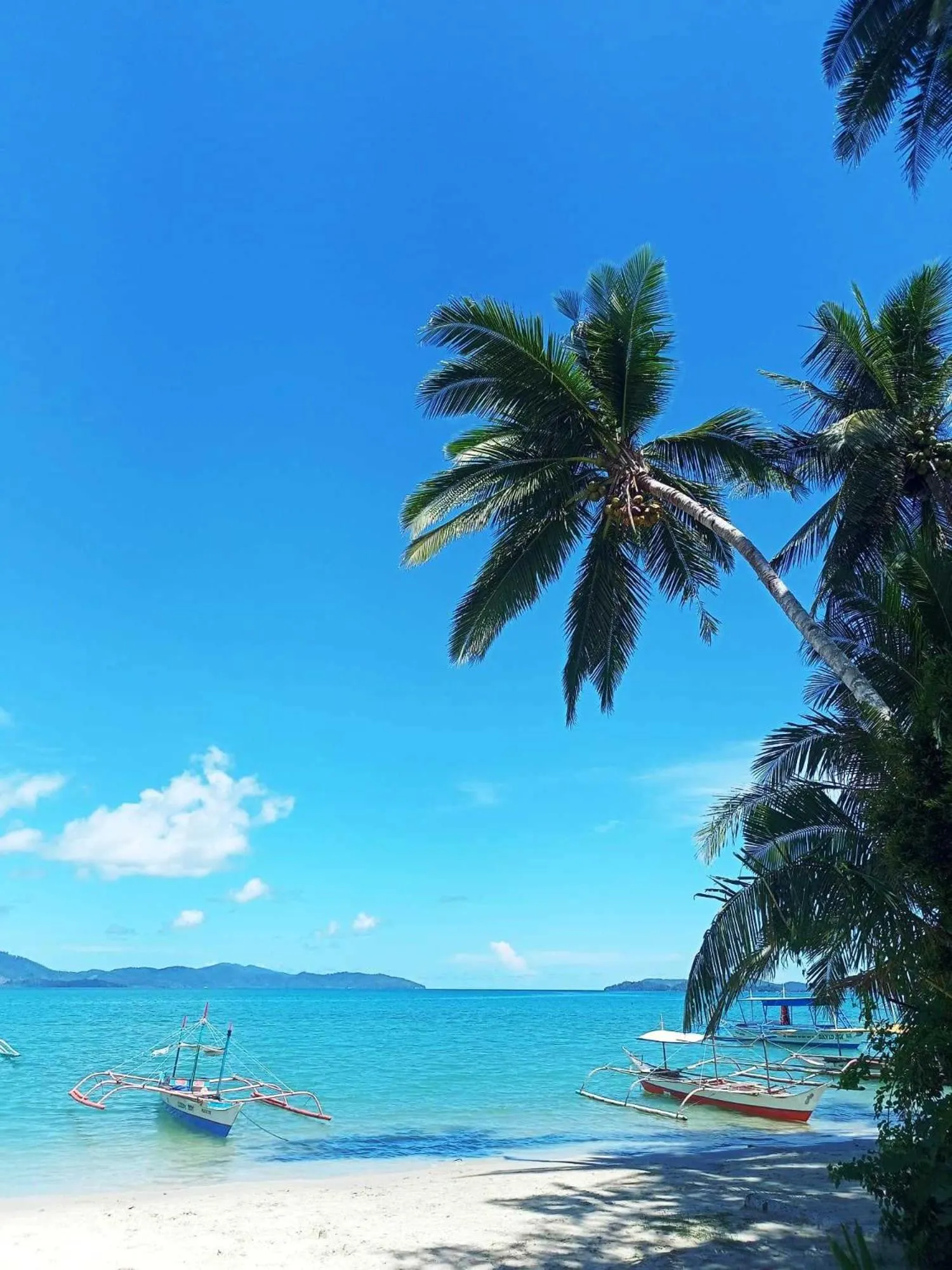 Day in Ausan Beach Front Cottages