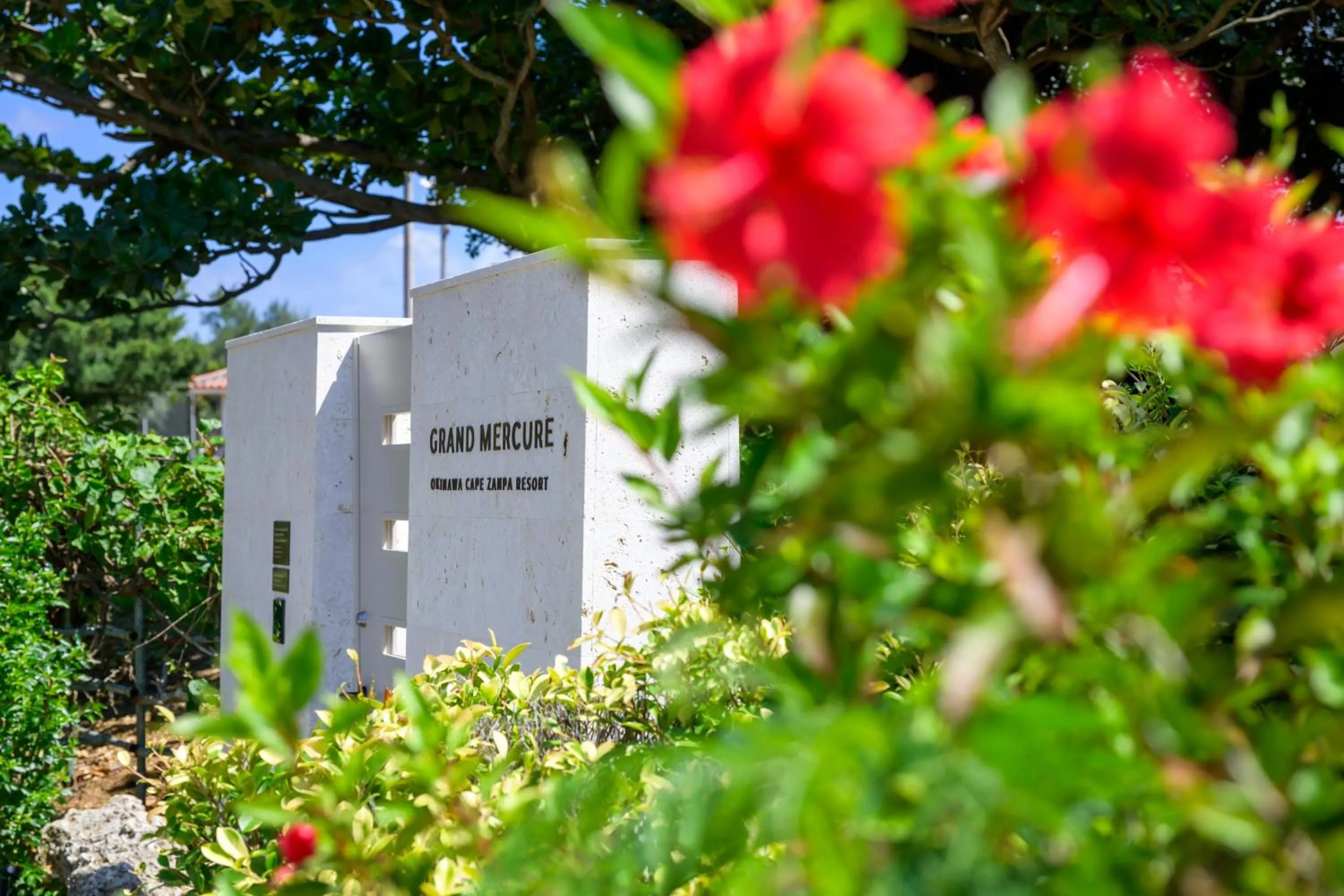 Activities in Grand Mercure Okinawa Cape Zanpa Resort