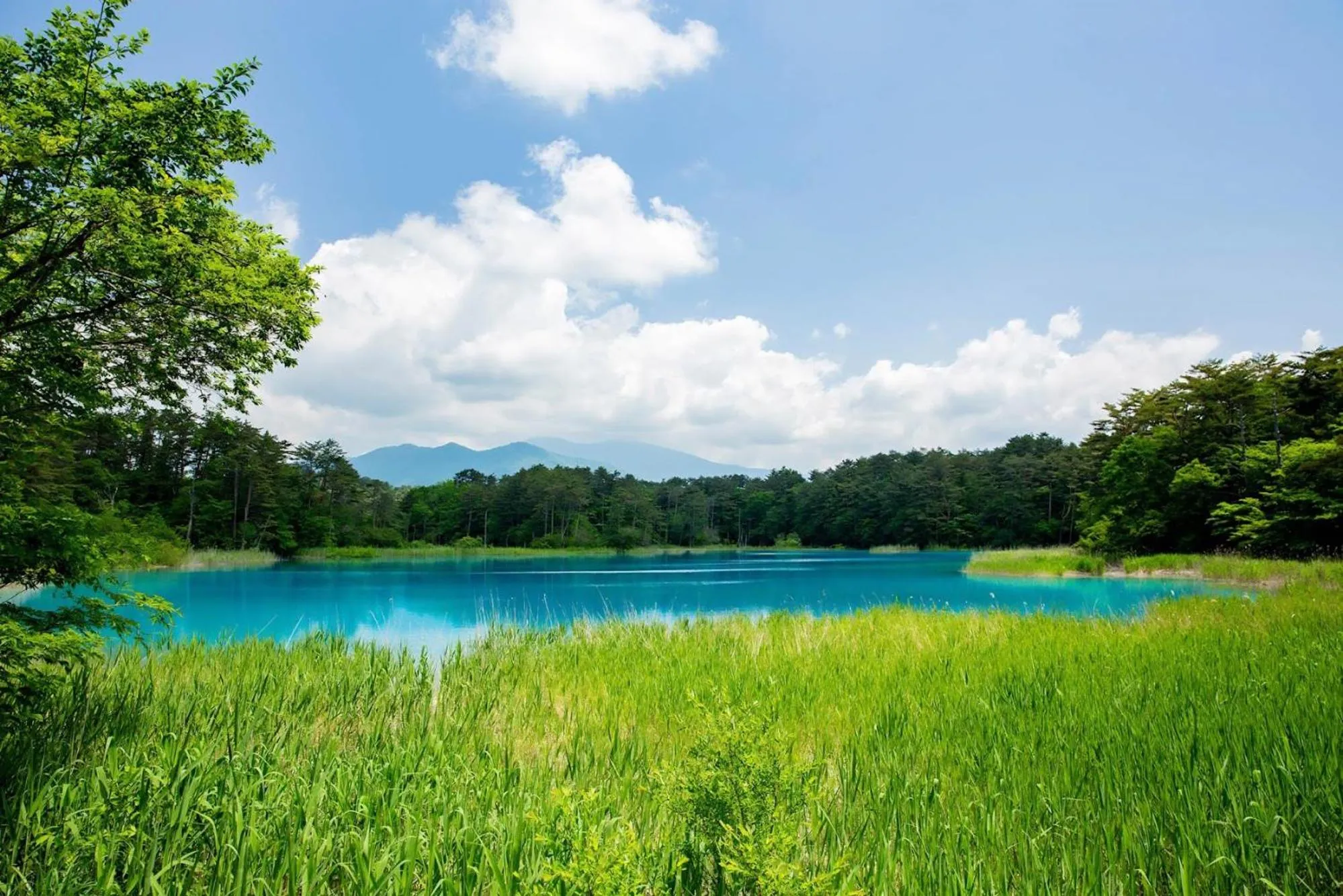 Nearby landmark in Mercure Urabandai Resort & Spa