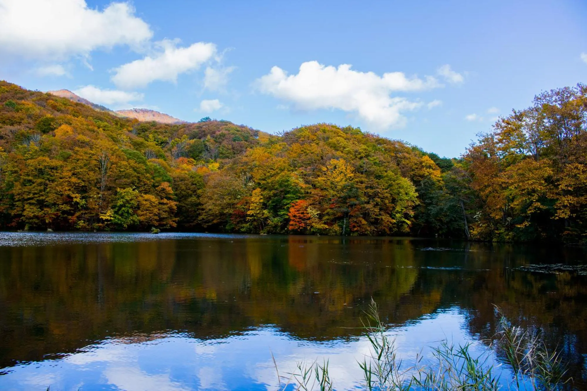 Nearby landmark in Mercure Urabandai Resort & Spa