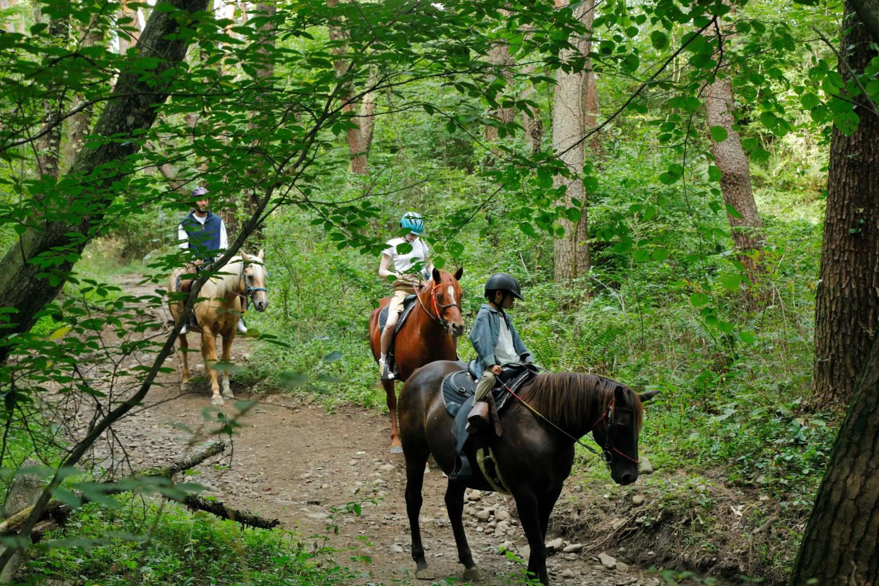 Activities in Grand Mercure Yatsugatake Resort & Spa