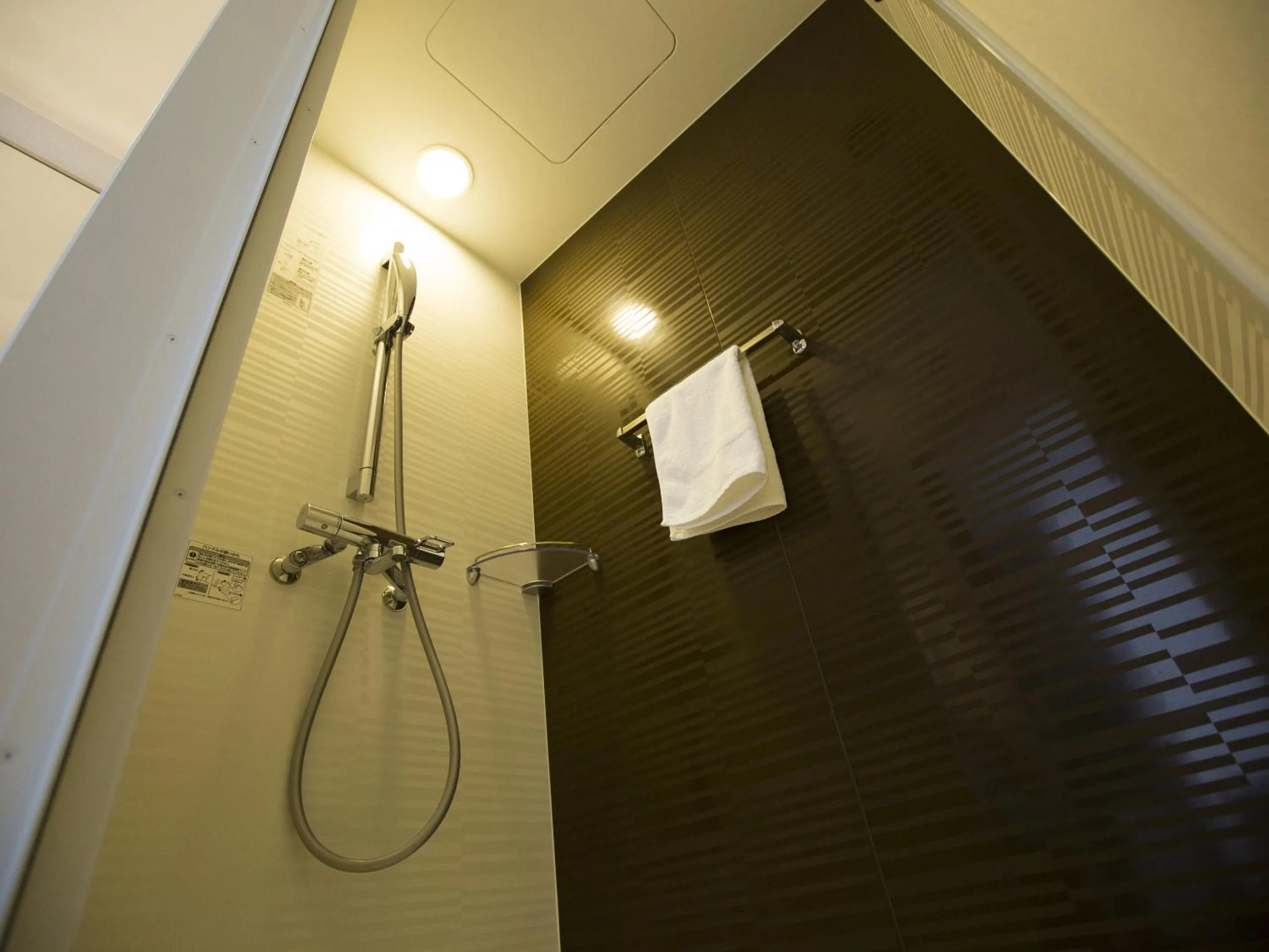 Shower in Mercure Kyoto Miyazu Resort & Spa