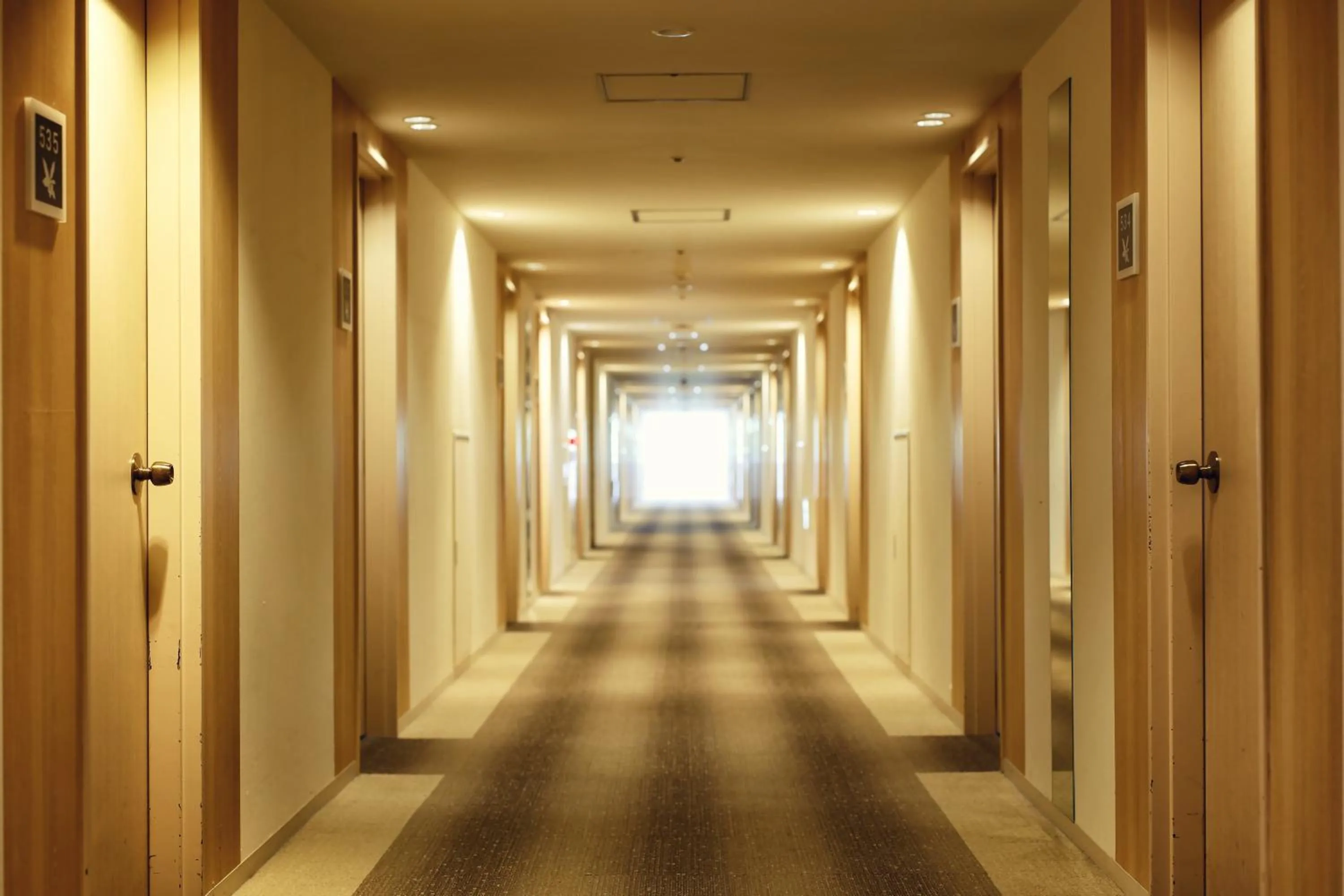 Photo of the whole room in Grand Mercure Minamiboso Resort & Spa