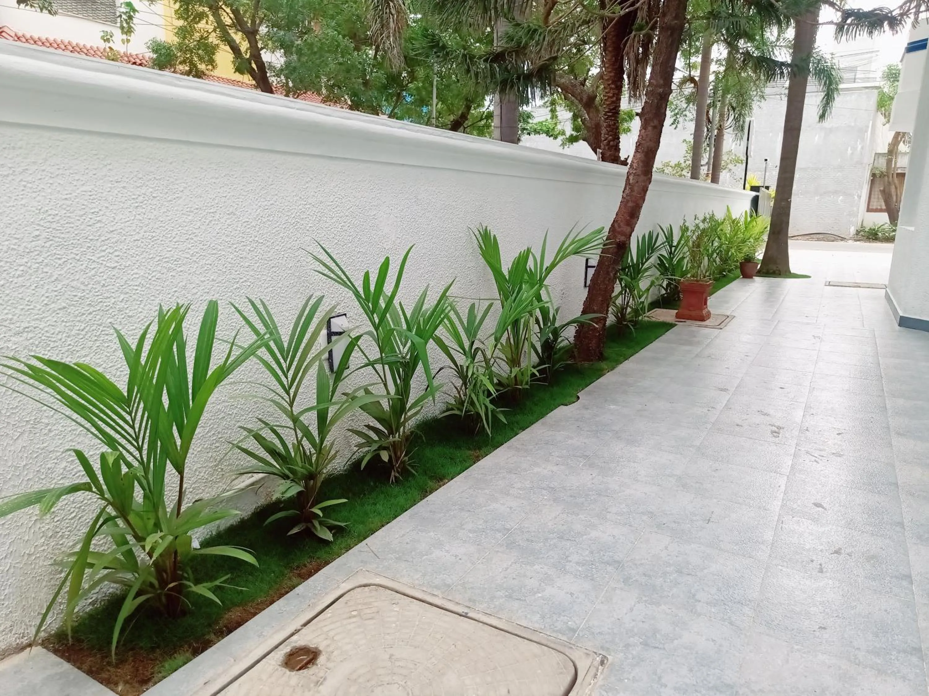 Day in Bay Breeze Suites