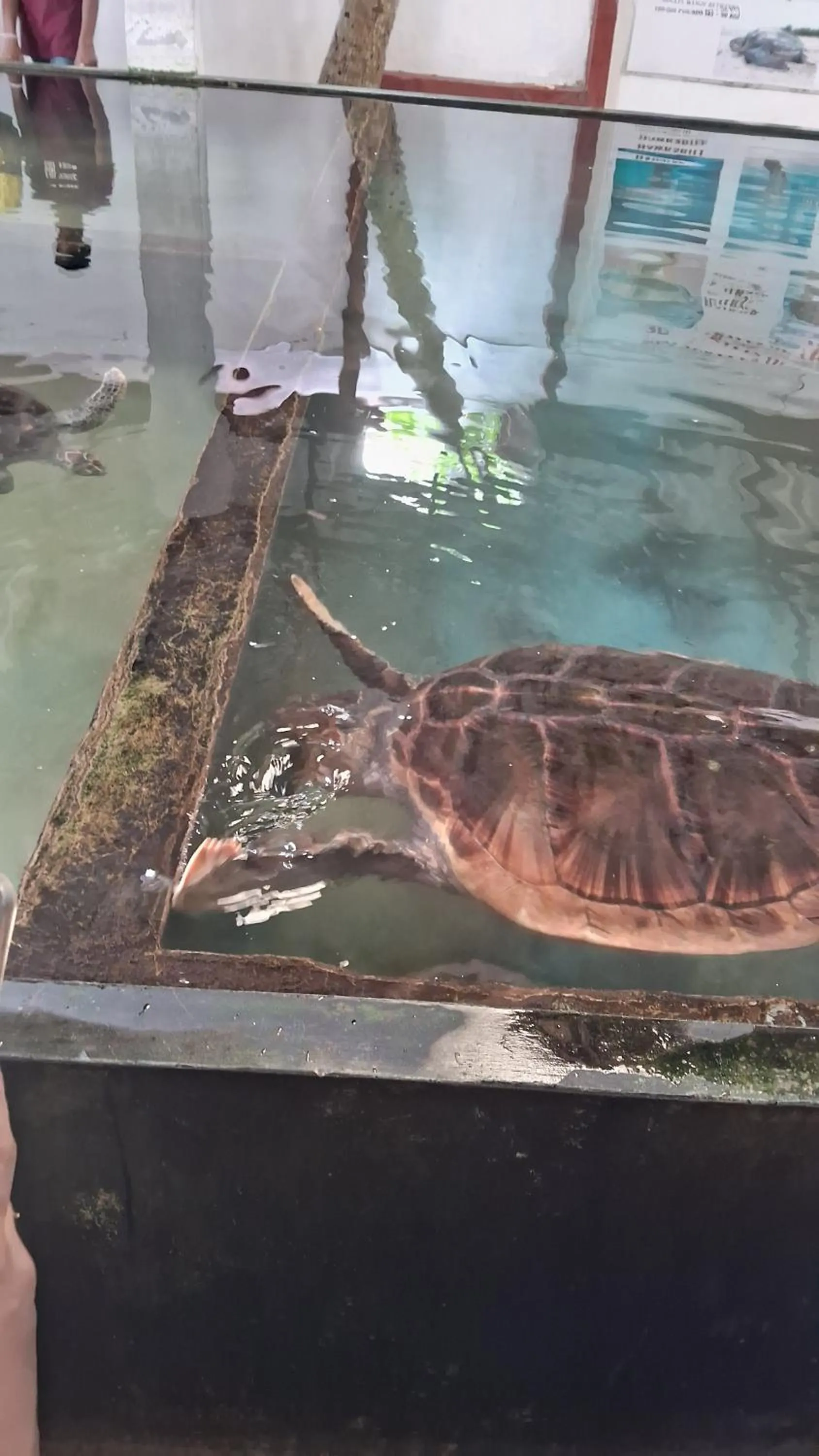 RKO Villa27 - Unawatuna