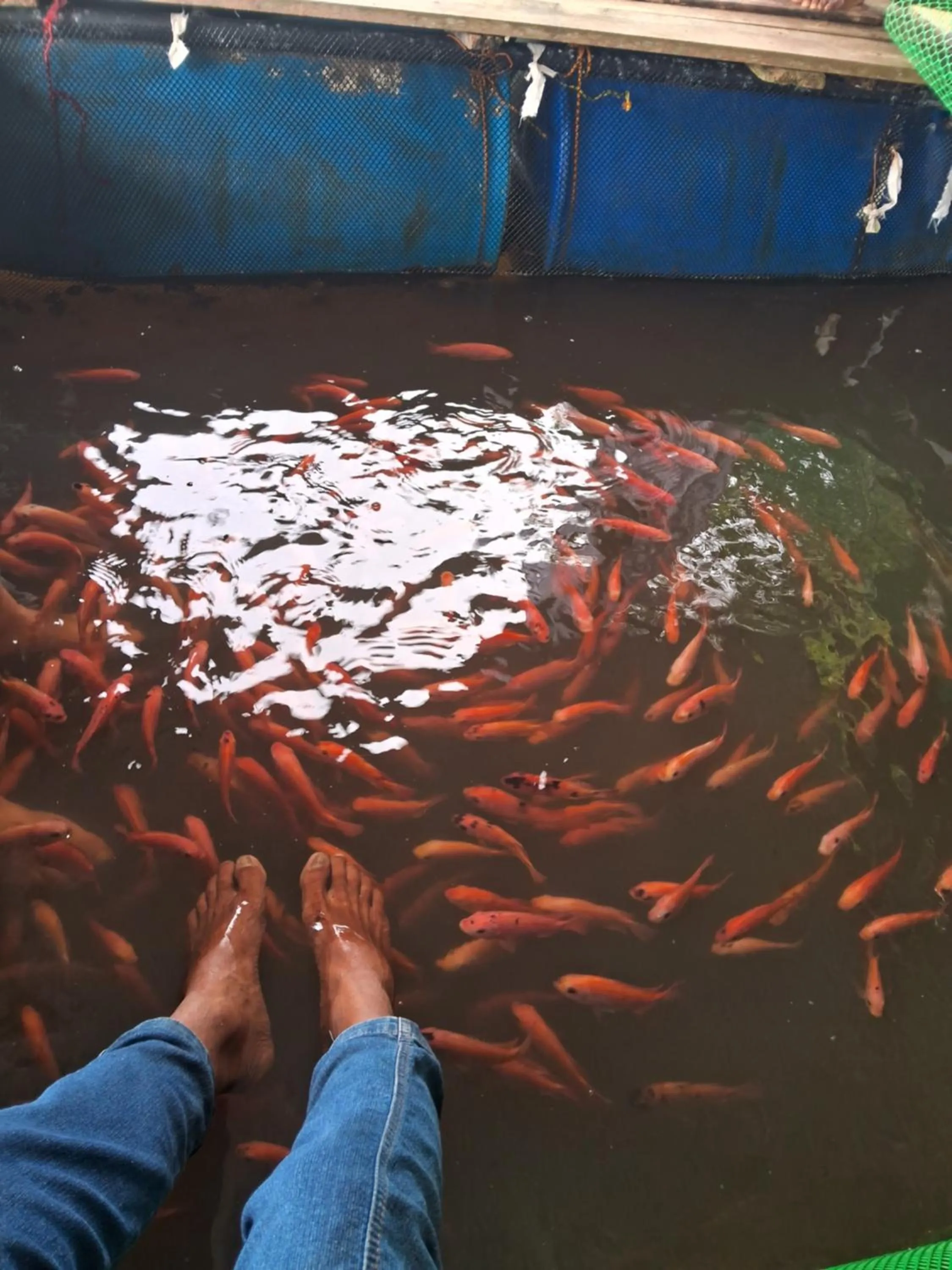 RKO Villa27 - Unawatuna