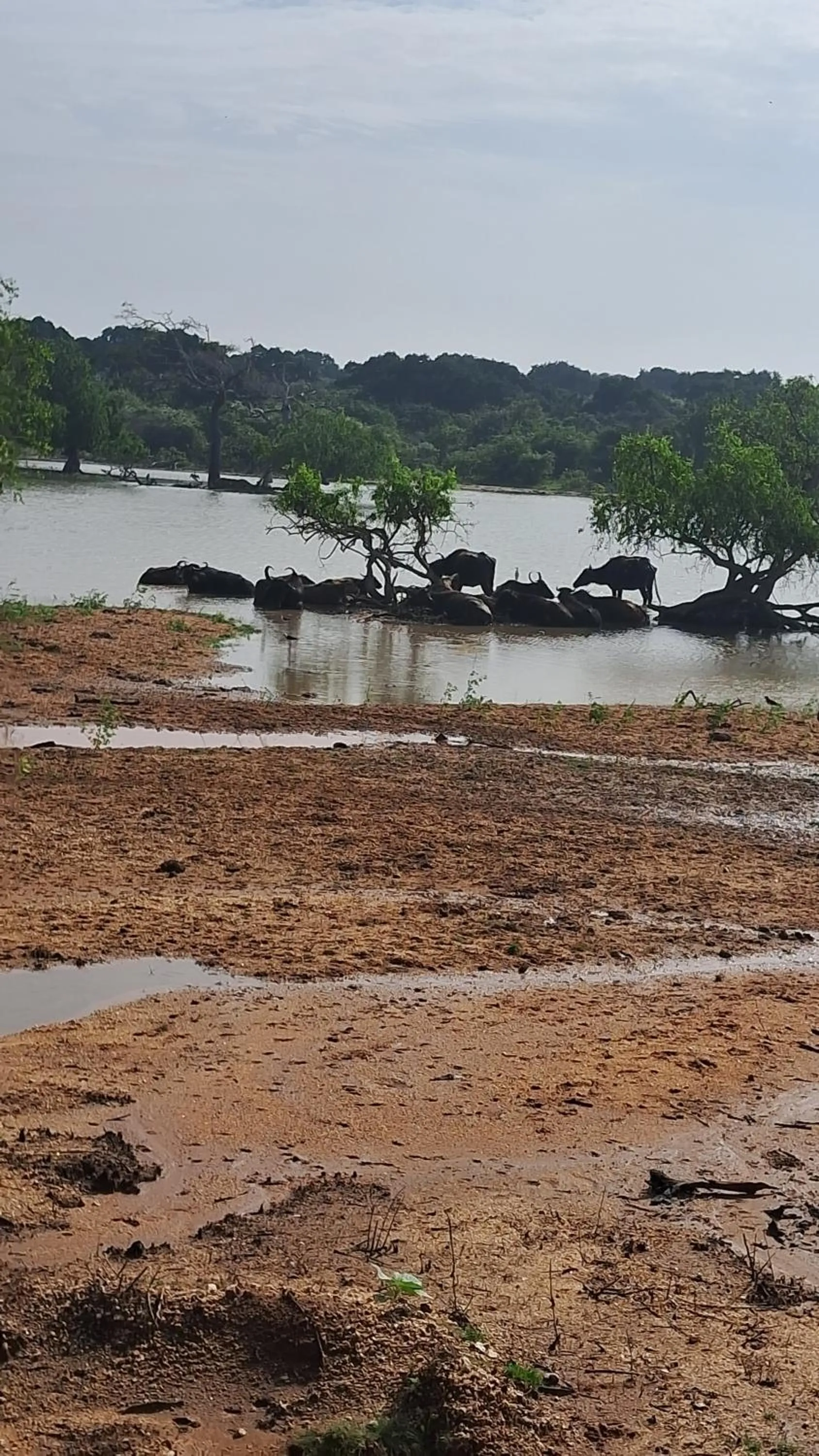 RKO Villa27 - Unawatuna