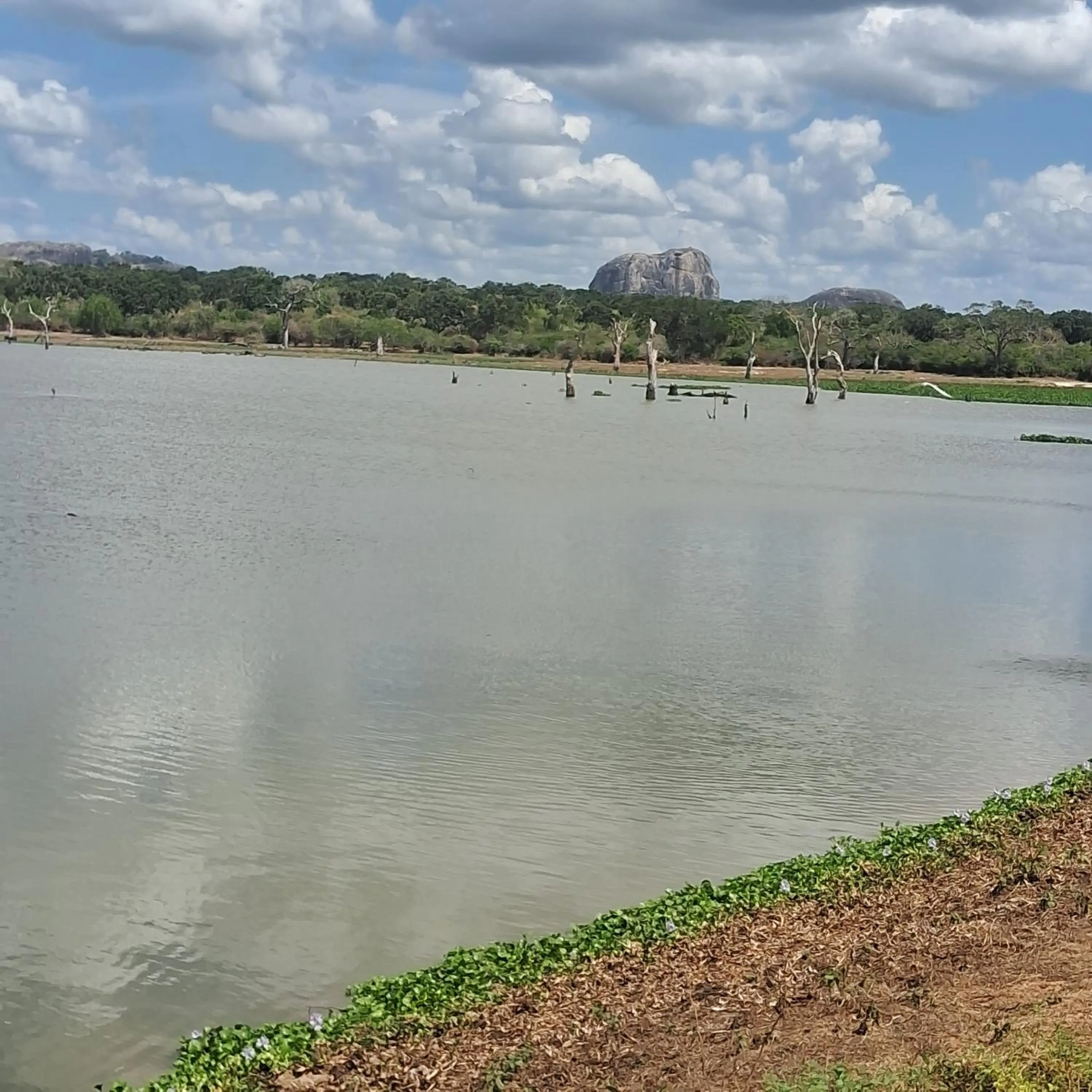 RKO Villa27 - Unawatuna