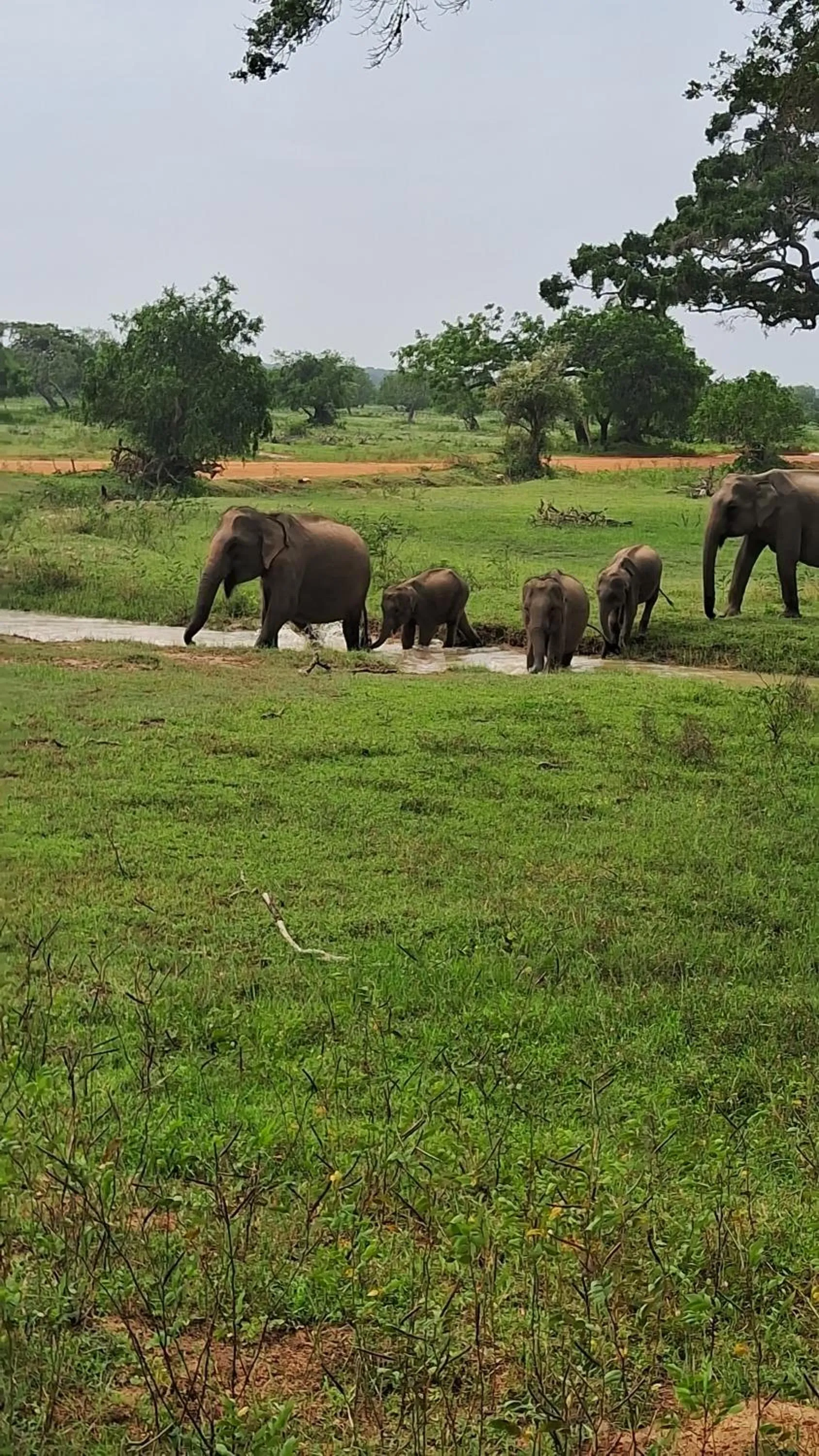 RKO Villa27 - Unawatuna