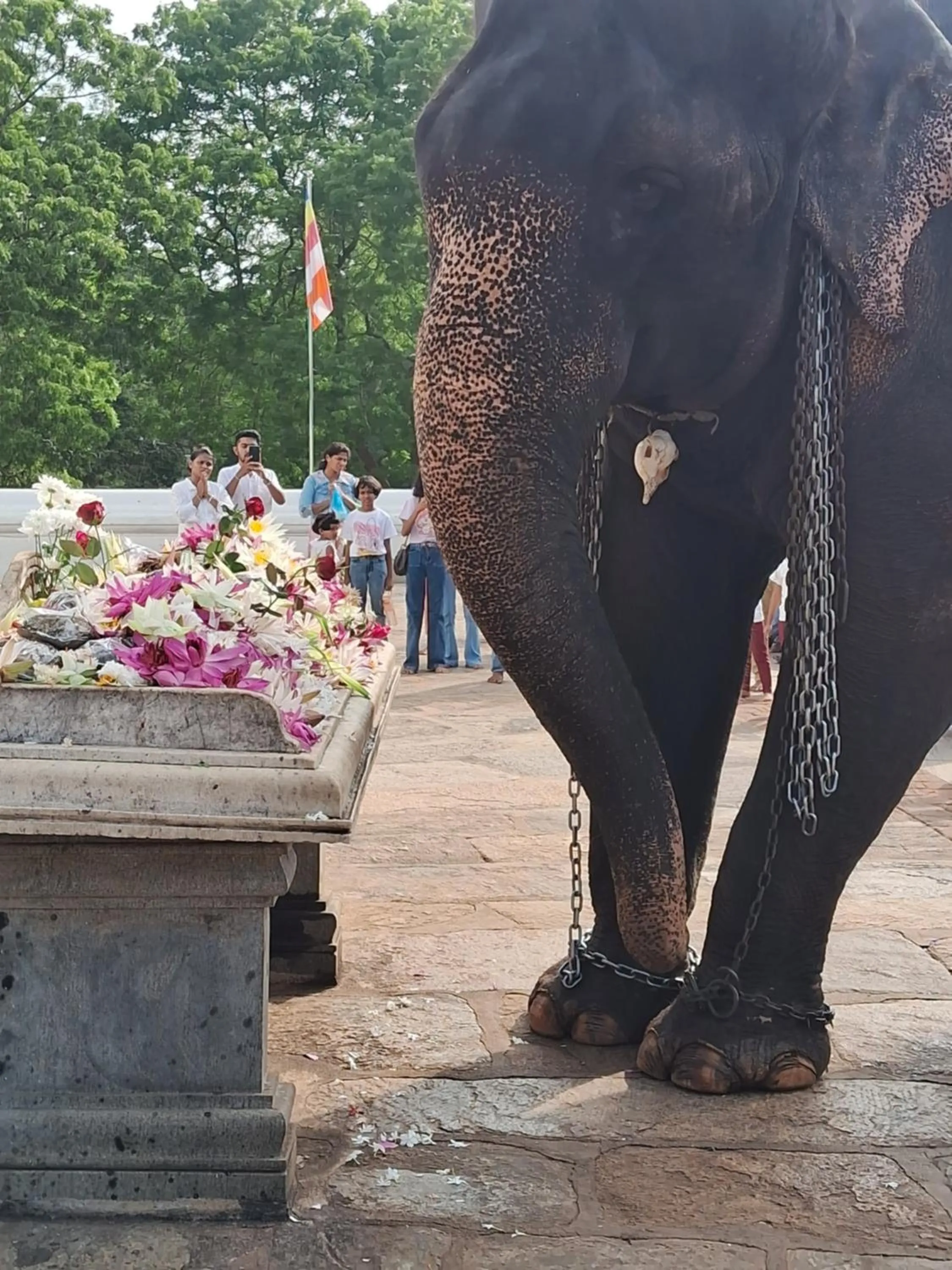 RKO Villa27 - Unawatuna