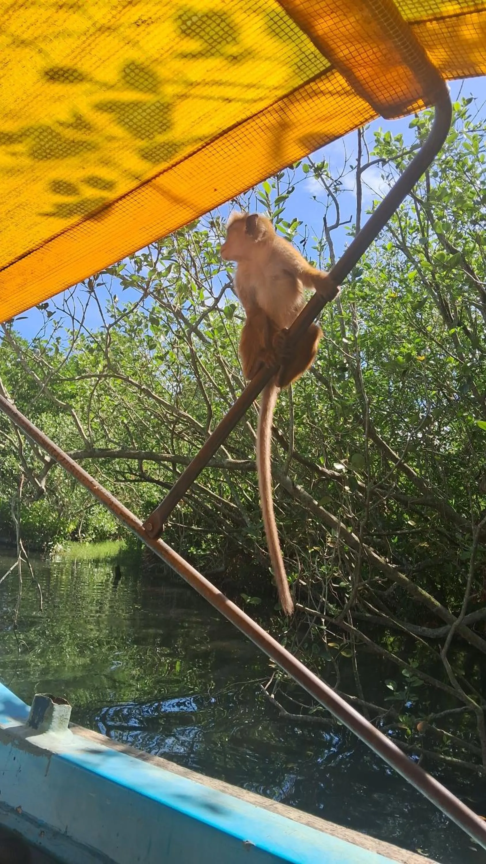 RKO Villa27 - Unawatuna