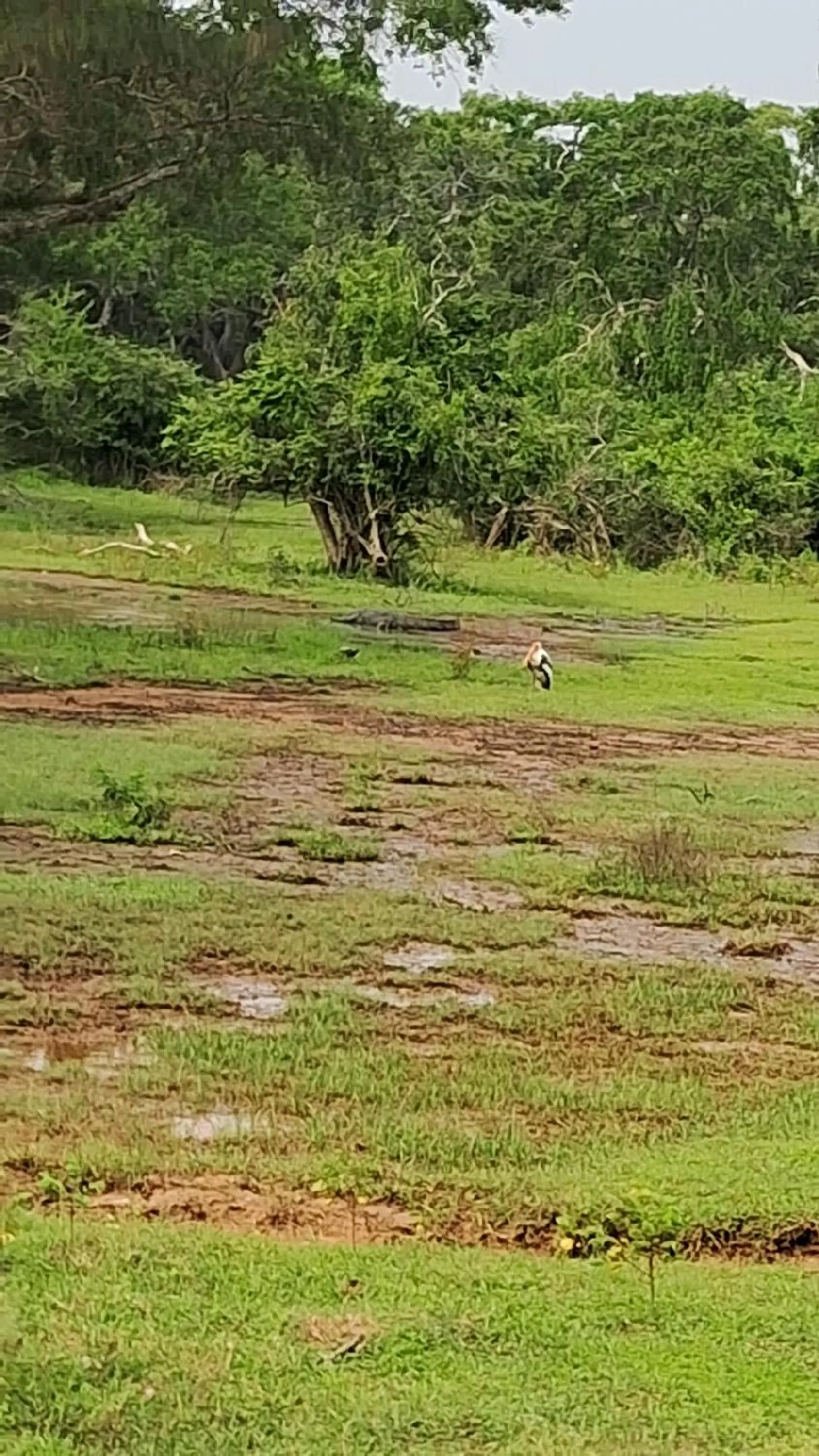 RKO Villa27 - Unawatuna