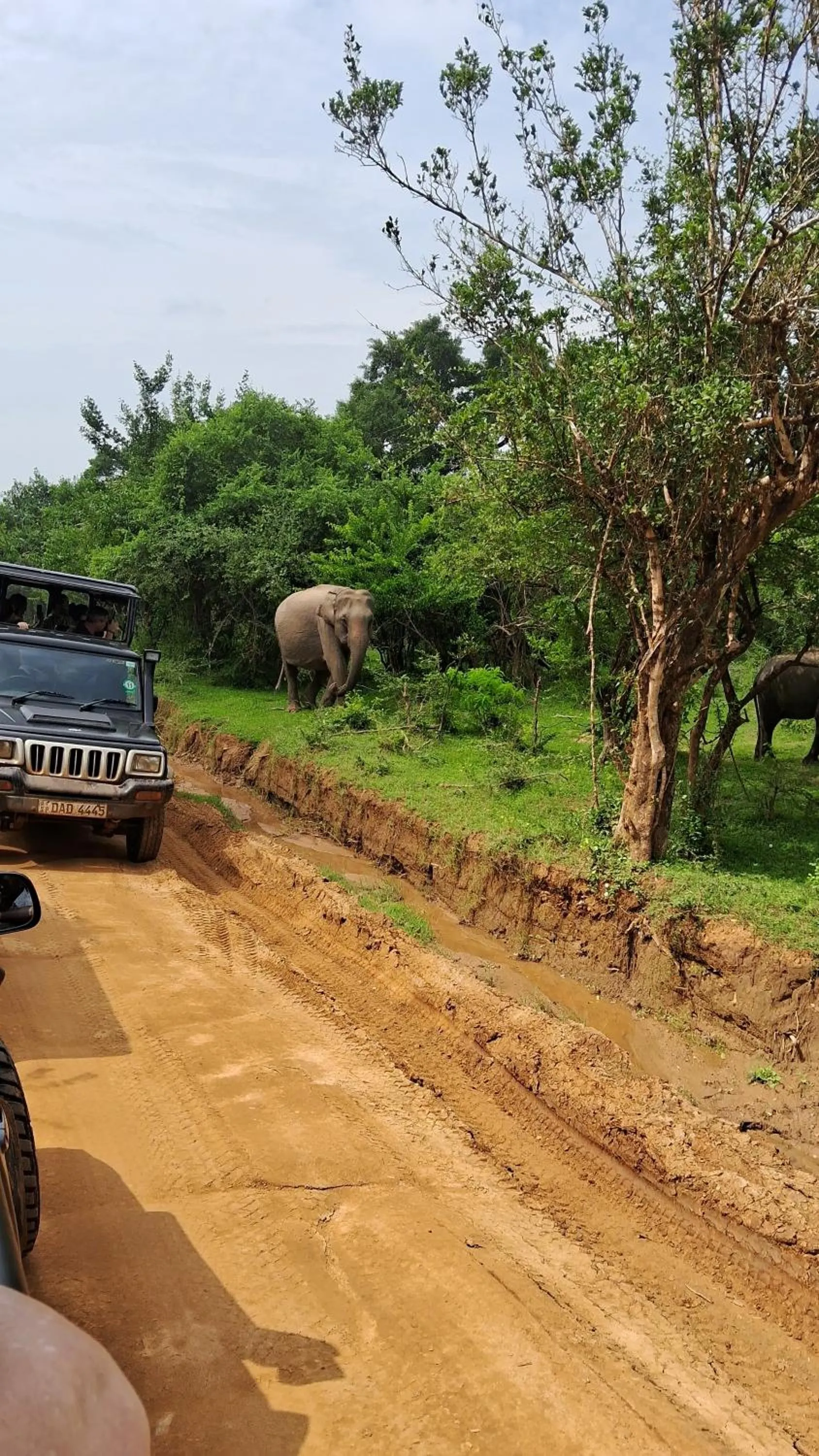 RKO Villa27 - Unawatuna