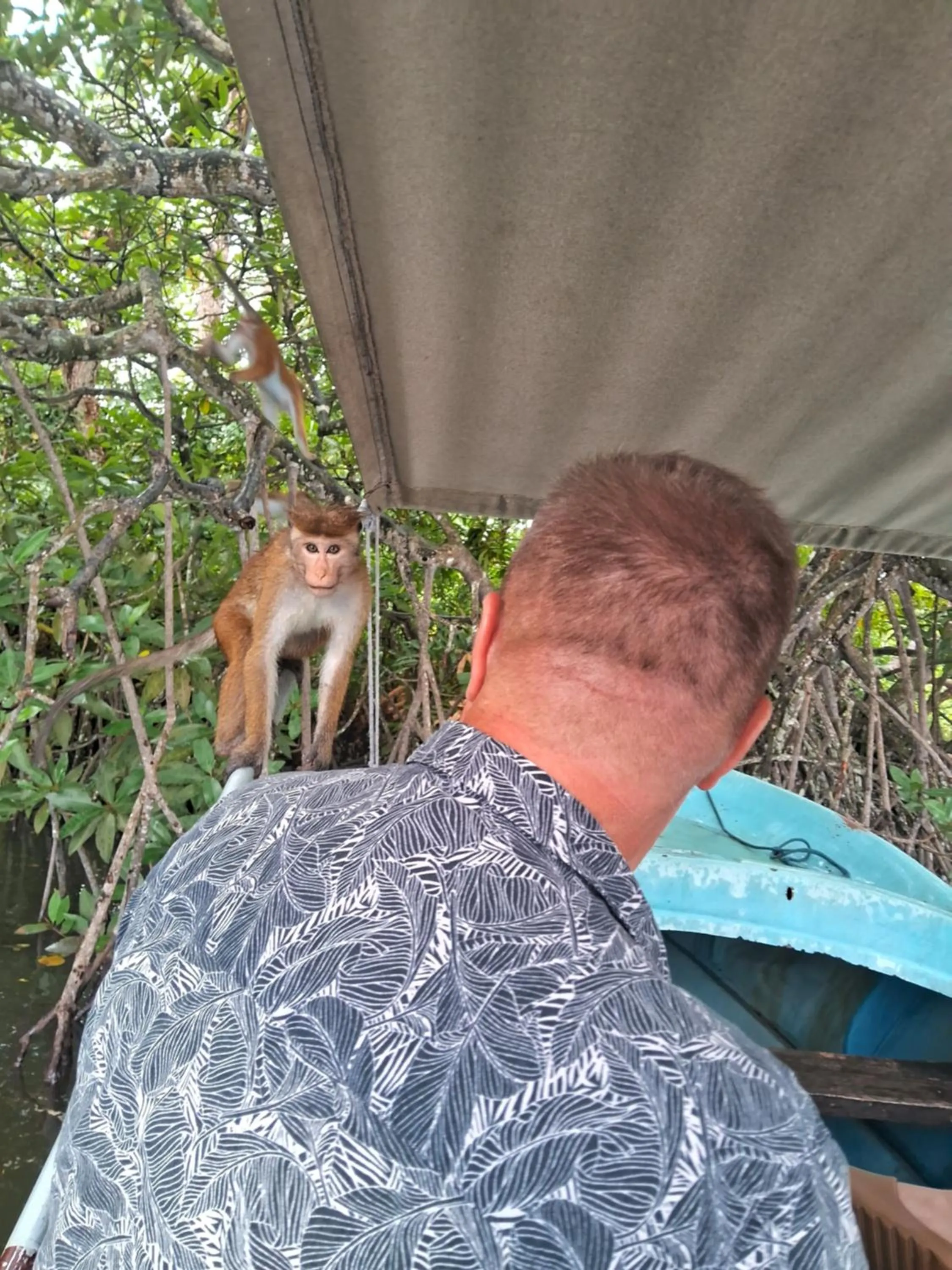 RKO Villa27 - Unawatuna