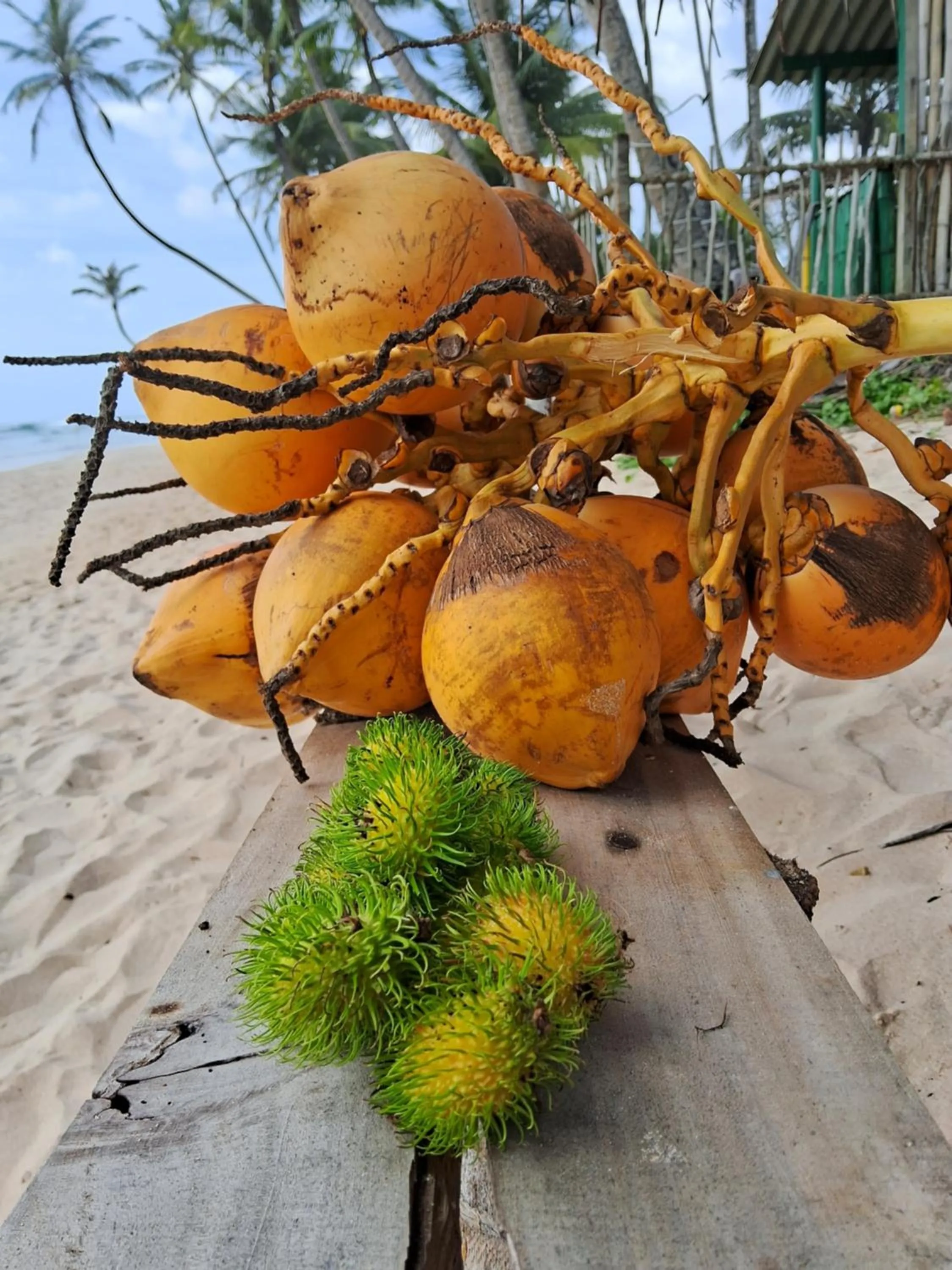 RKO Villa27 - Unawatuna