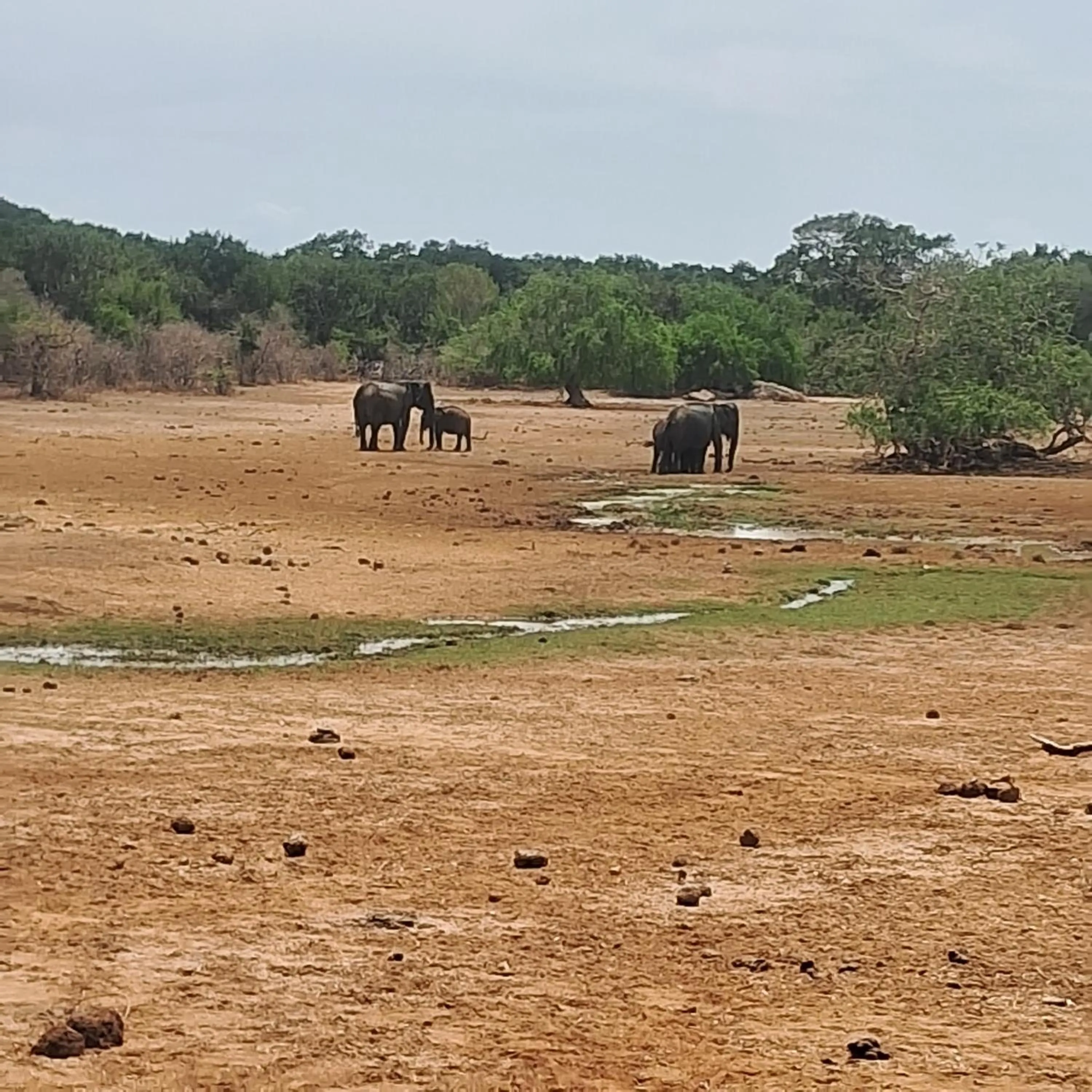 RKO Villa27 - Unawatuna