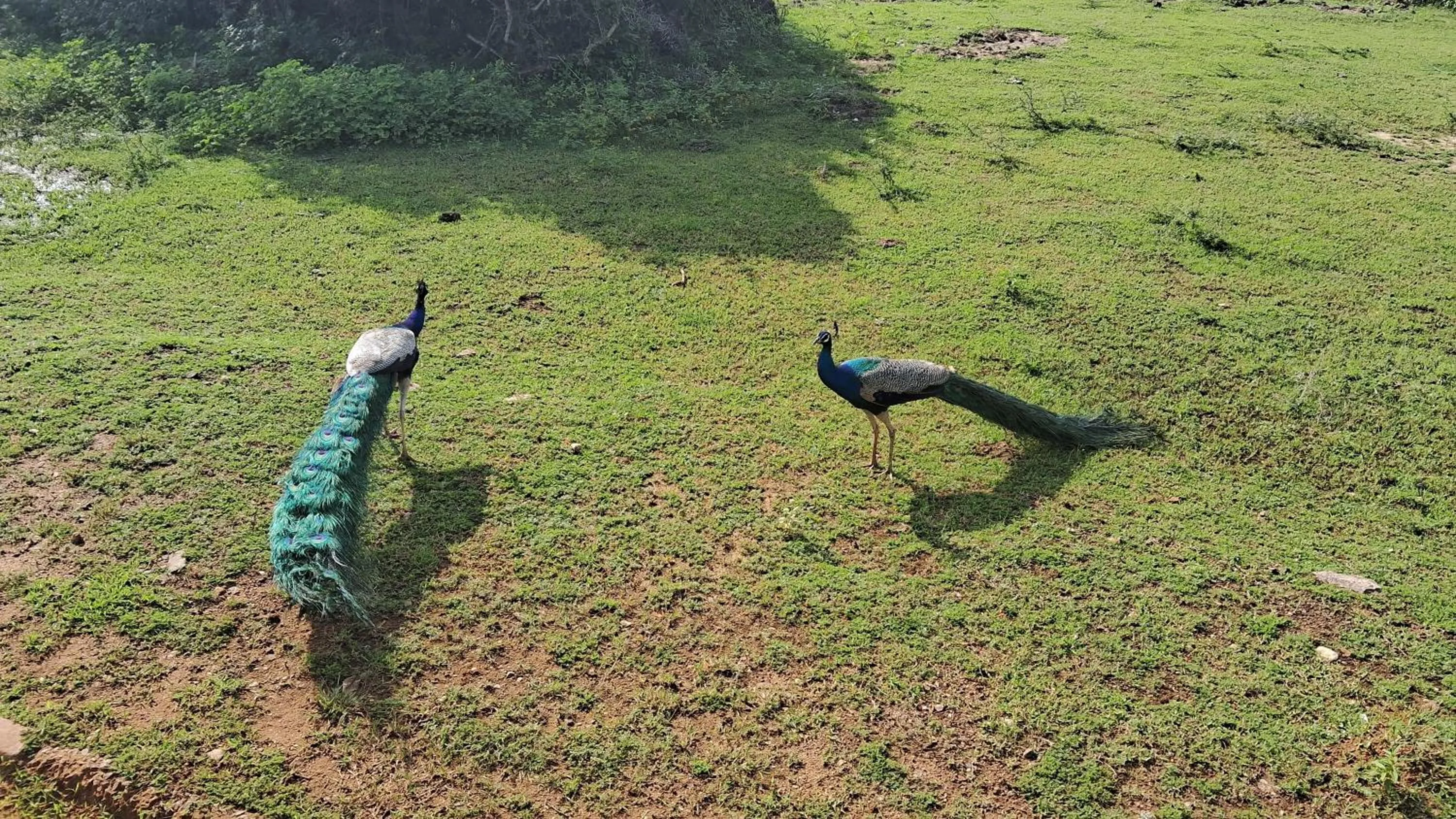 RKO Villa27 - Unawatuna