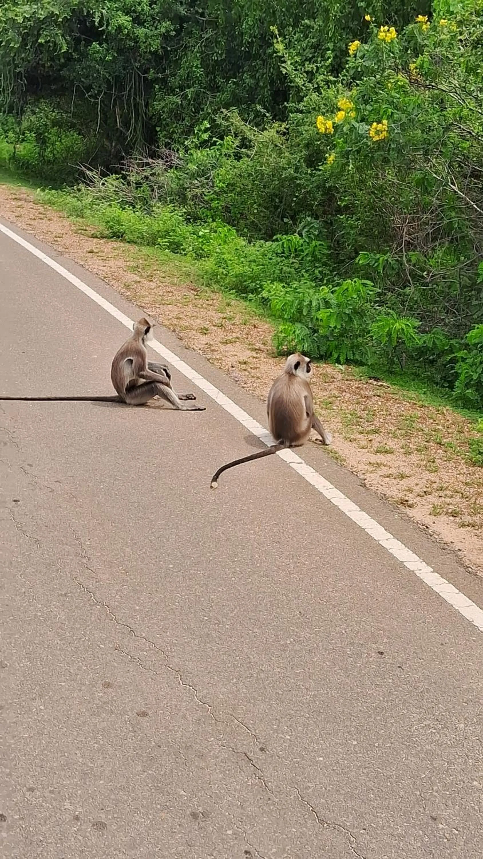 RKO Villa27 - Unawatuna