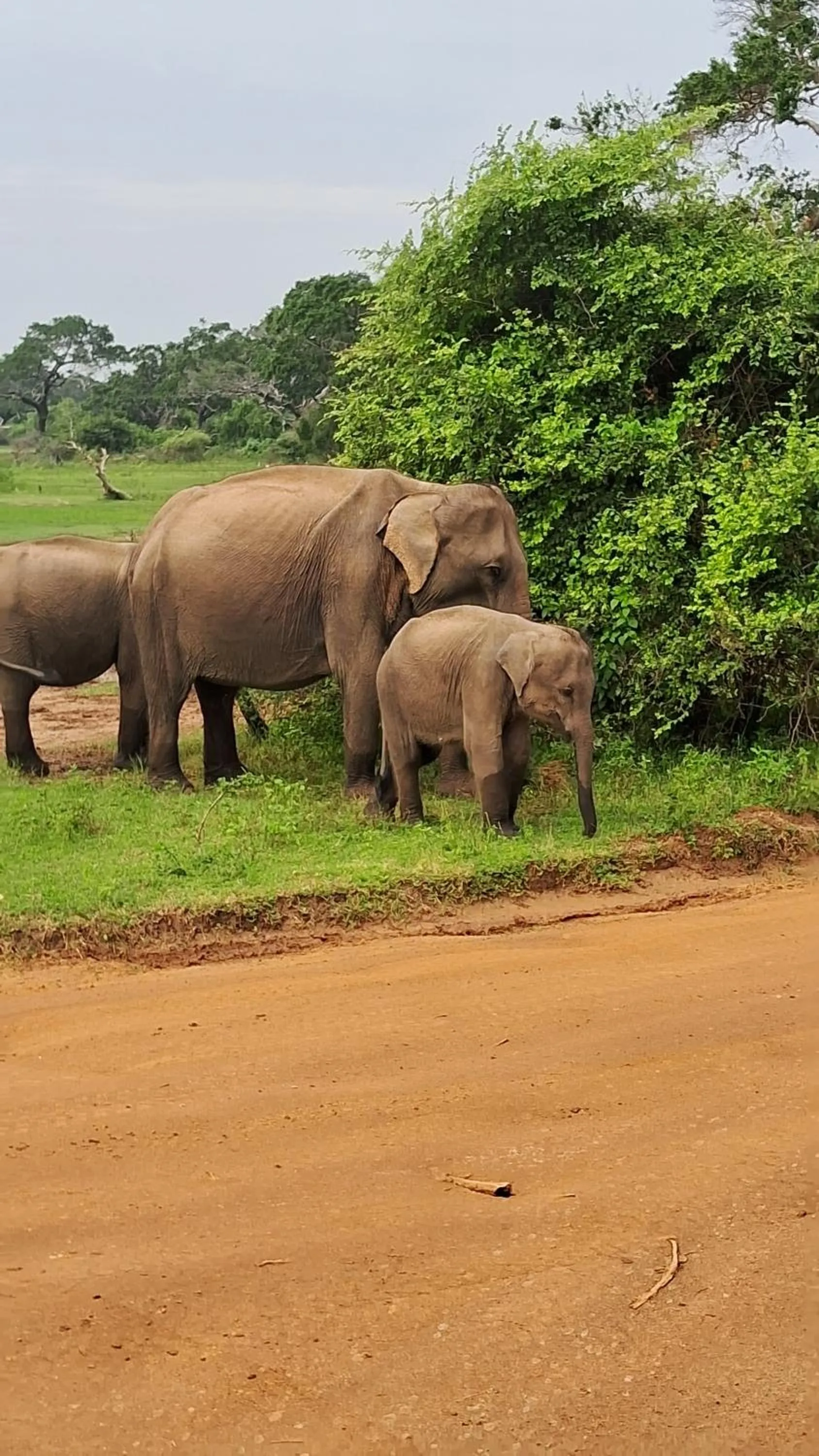 RKO Villa27 - Unawatuna