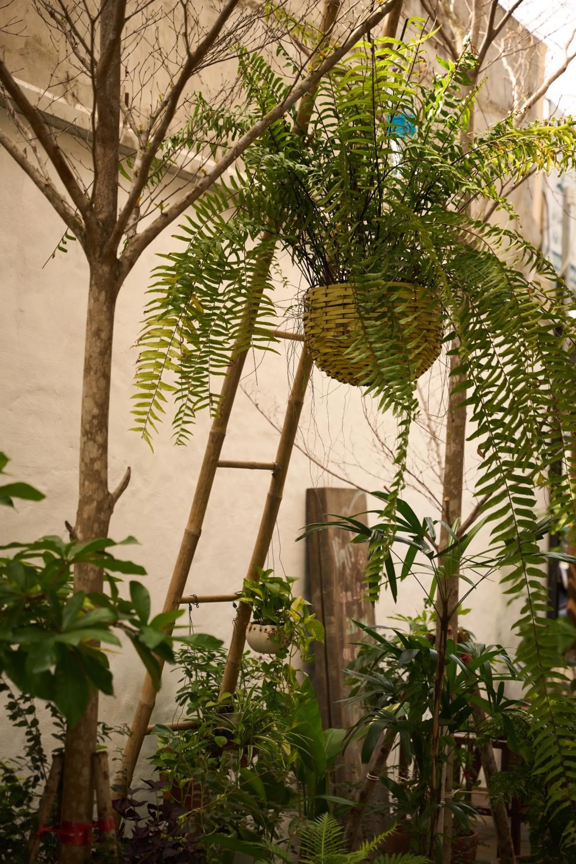 Spring in Sep'on Heartfulness Centre