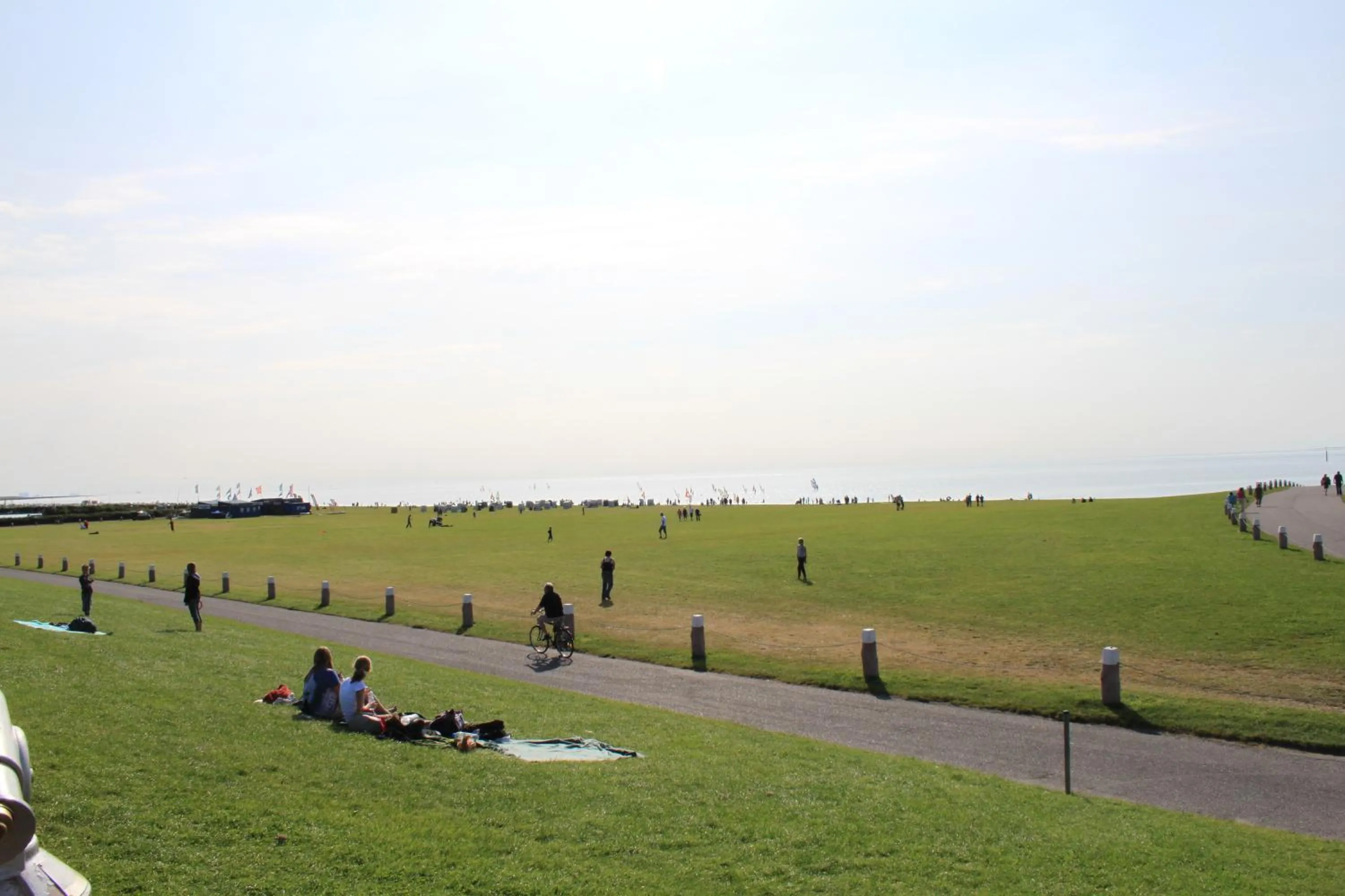 Natural landscape in Hotel Seewind