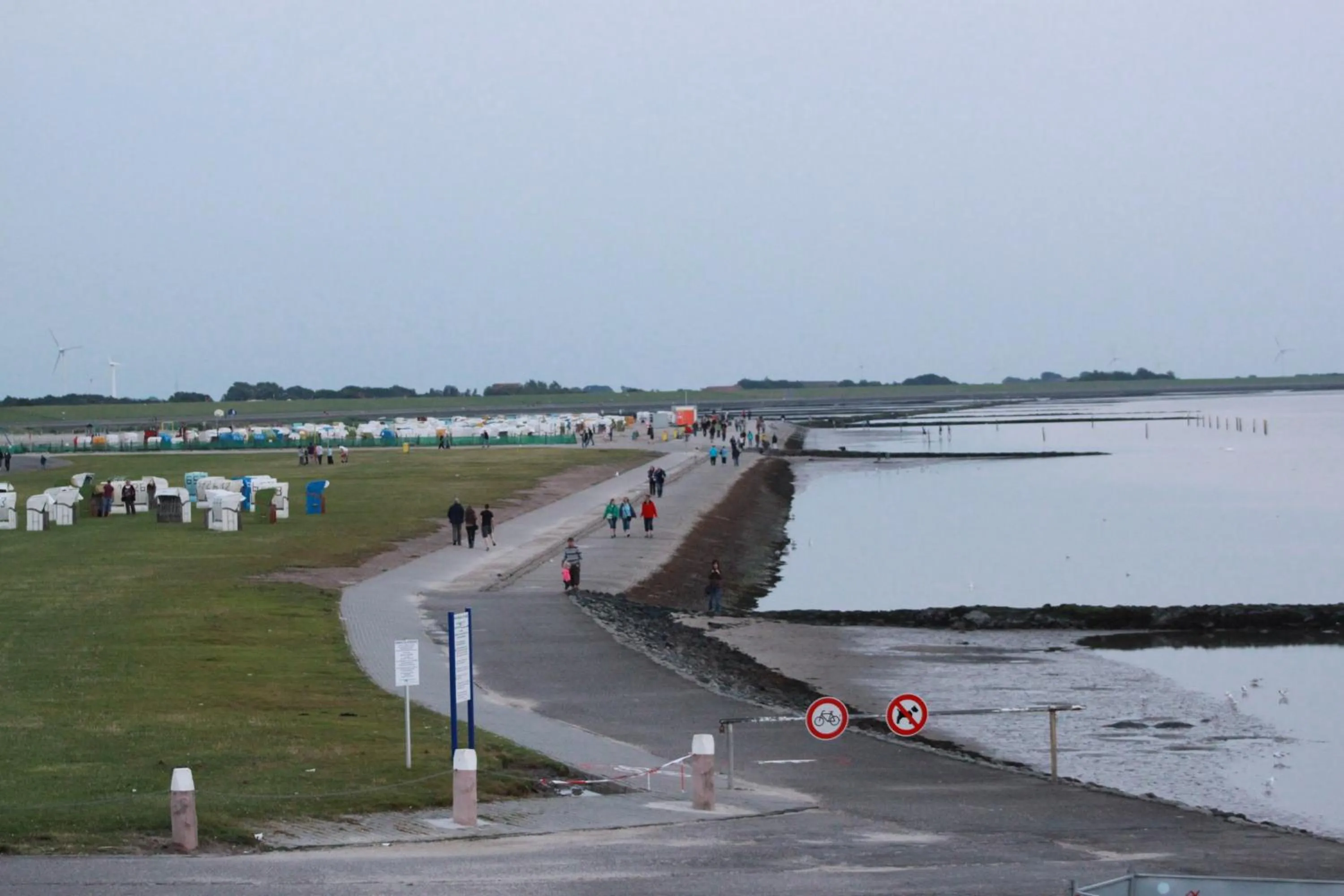 Natural landscape in Hotel Seewind