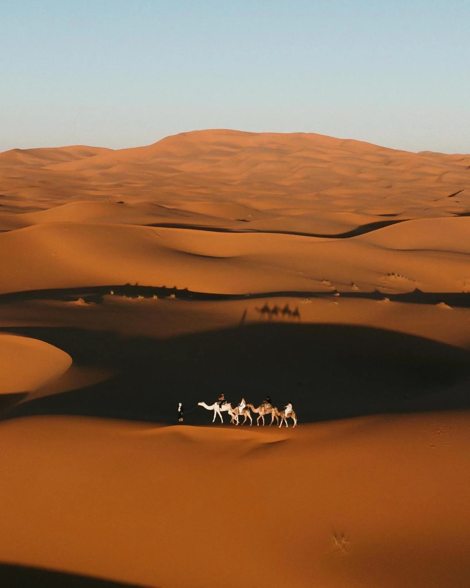 Activities in Sahara pearl Hotel