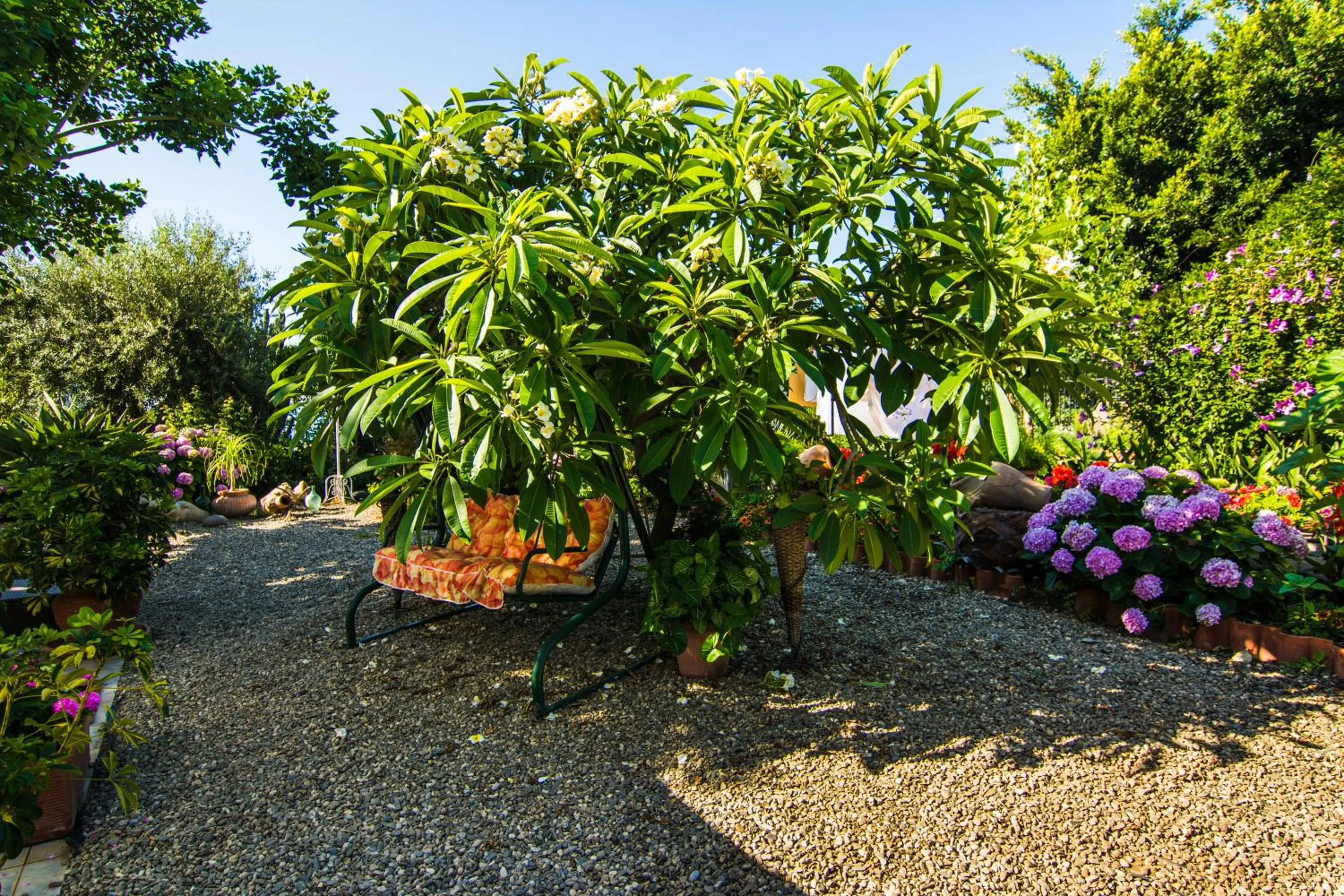 Garden in Villa Ortensia