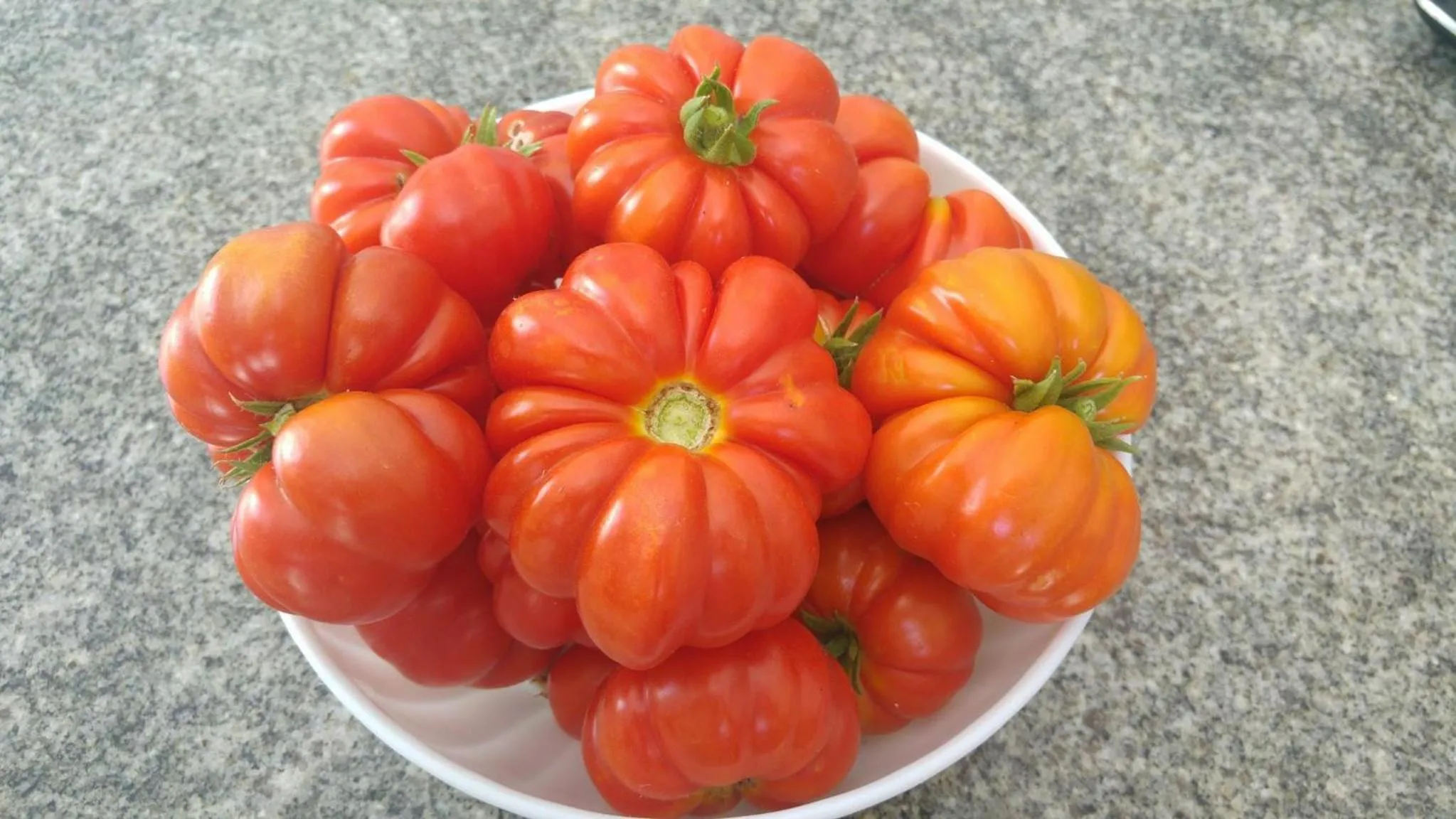 Garden in Villa Ortensia