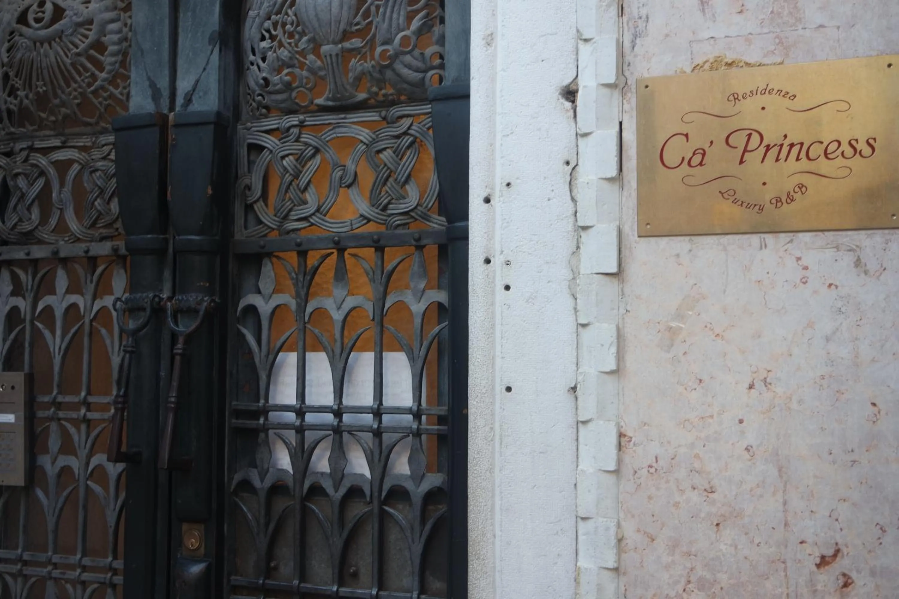 Facade/entrance in Ca' Princess